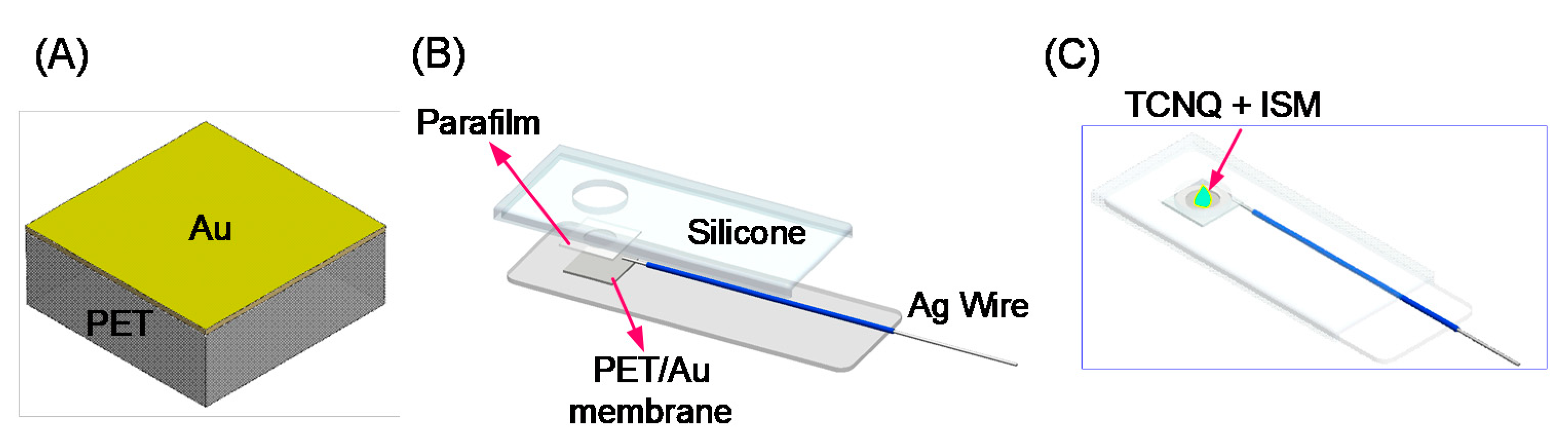 Biosensors 11 00109 sch001 Biosensors 11 00109 sch001