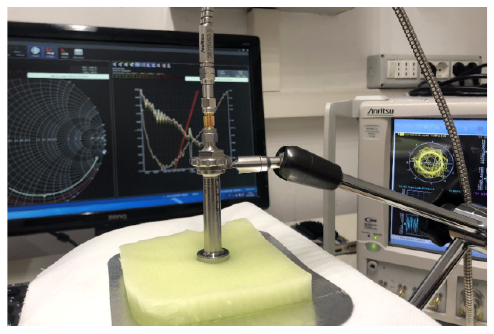 Biosensors 11 00111 g001 Biosensors 11 00111 g001