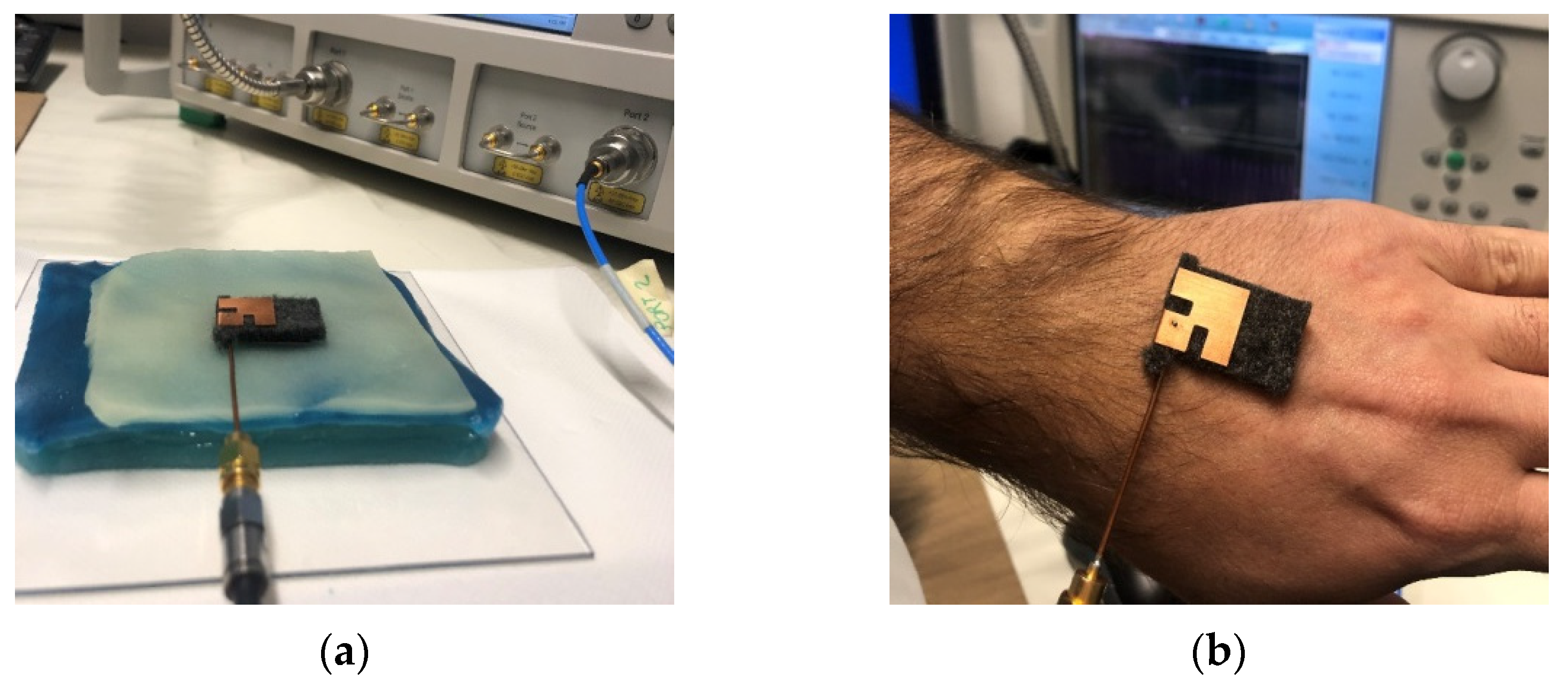 Biosensors 11 00111 g006 Biosensors 11 00111 g006