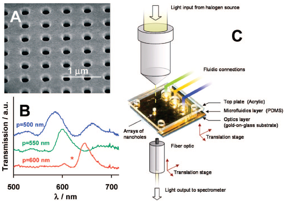 Biosensors 11 00123 g003