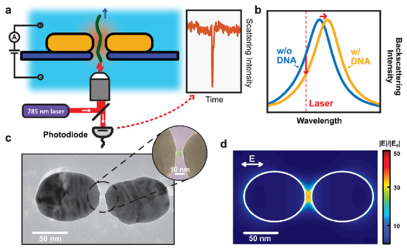 Biosensors 11 00123 g006