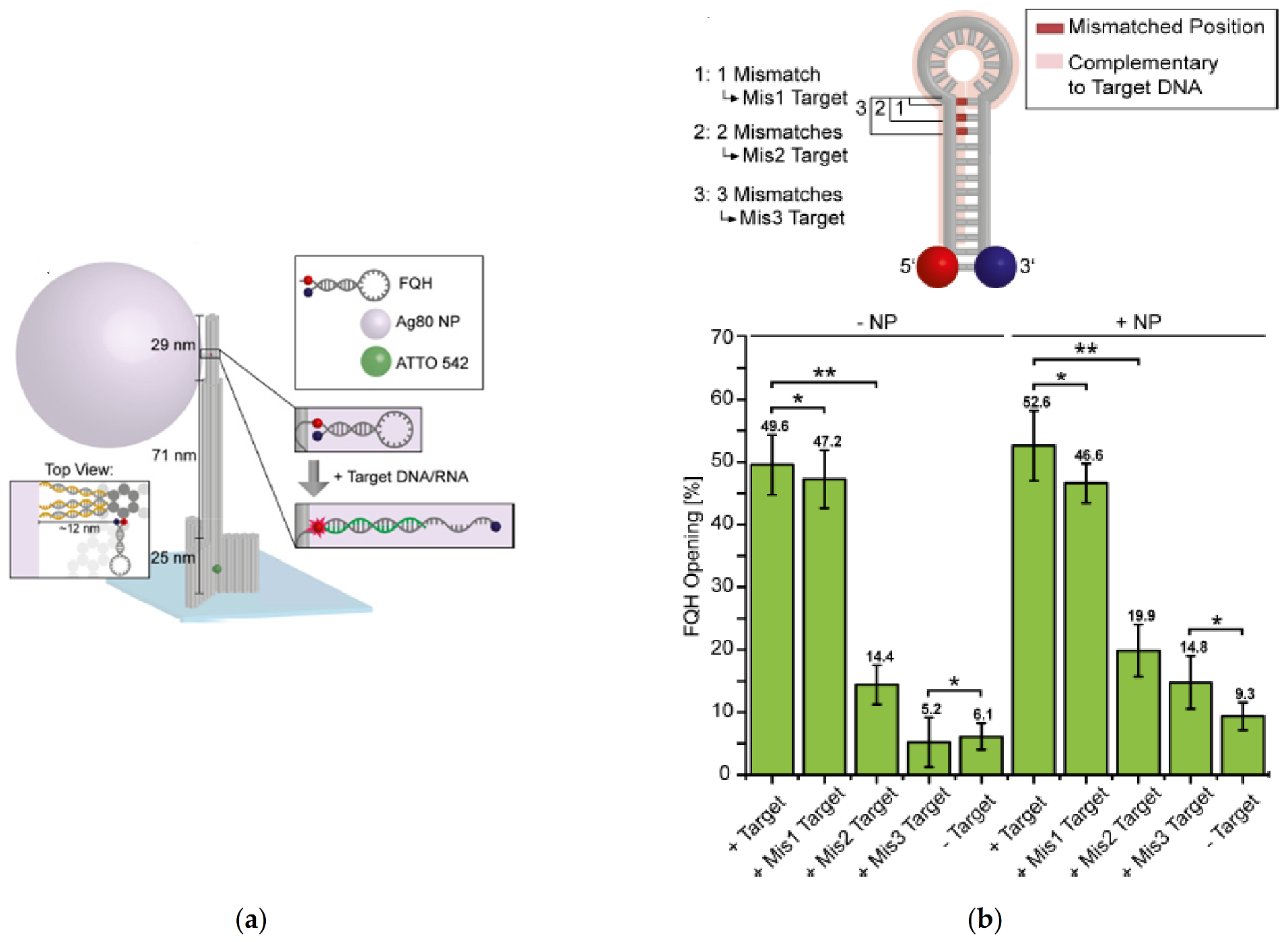 Biosensors 11 00123 g008