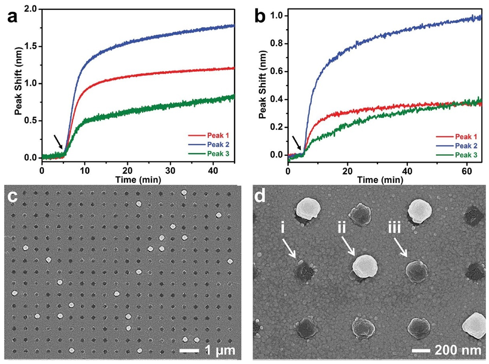 Biosensors 11 00123 g009