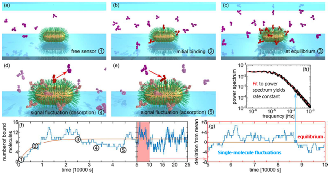 Biosensors 11 00123 g013