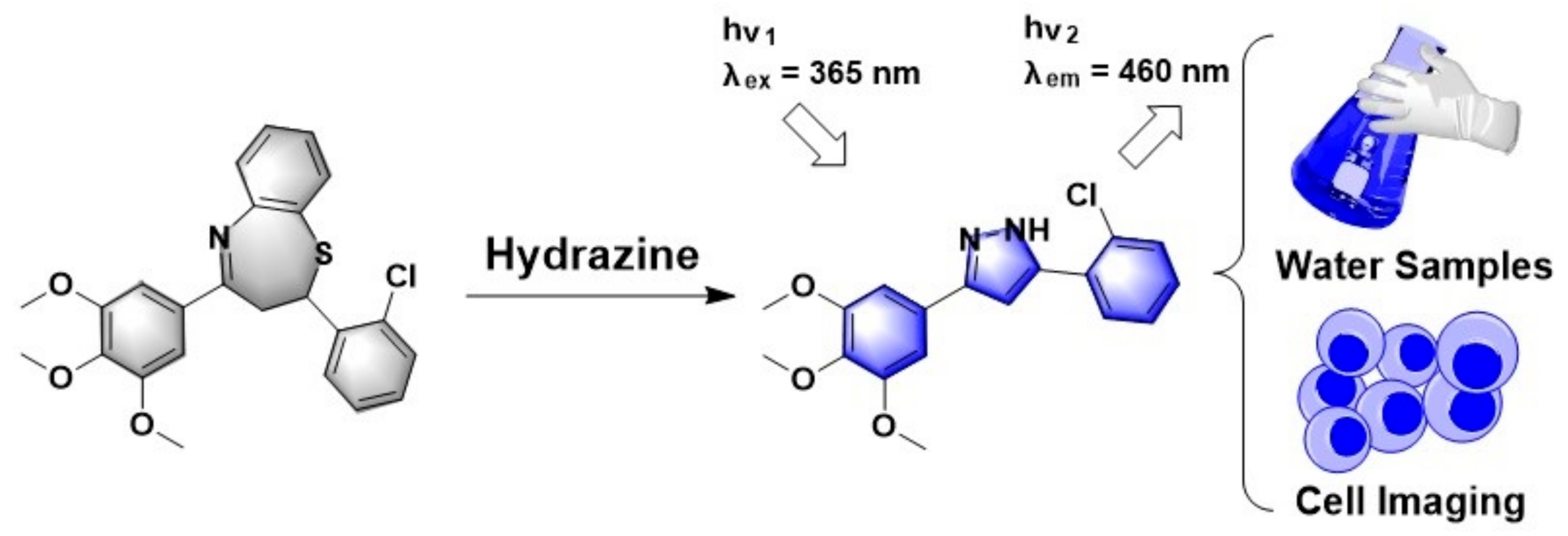 Biosensors 11 00130 g001 Biosensors 11 00130 g001
