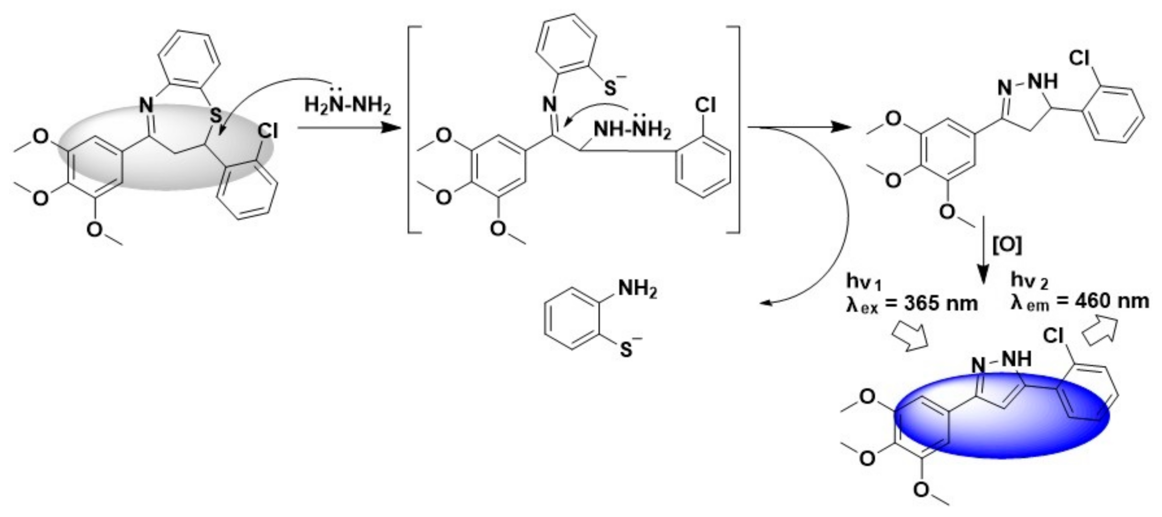 Biosensors 11 00130 g005 Biosensors 11 00130 g005