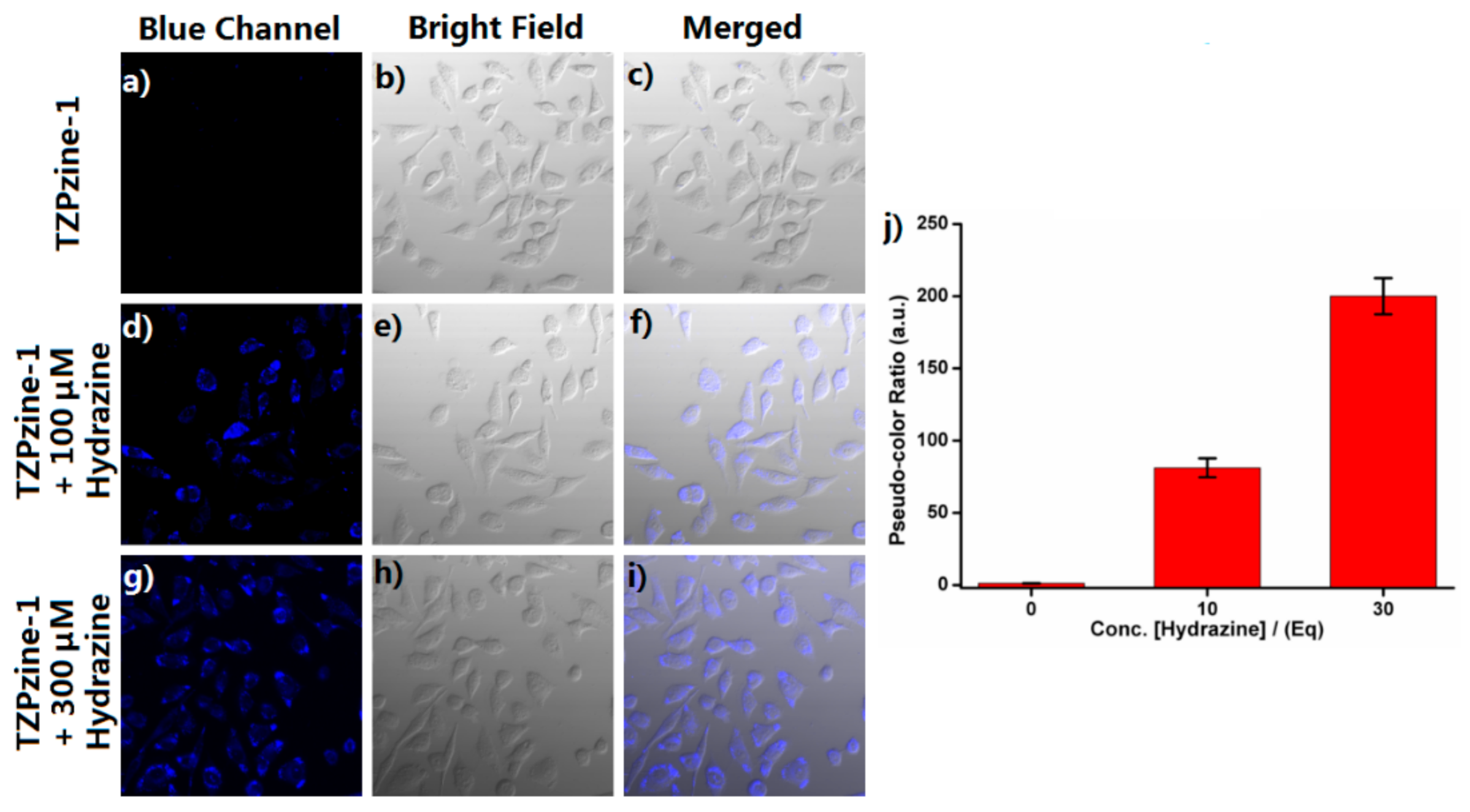 Biosensors 11 00130 g006 Biosensors 11 00130 g006