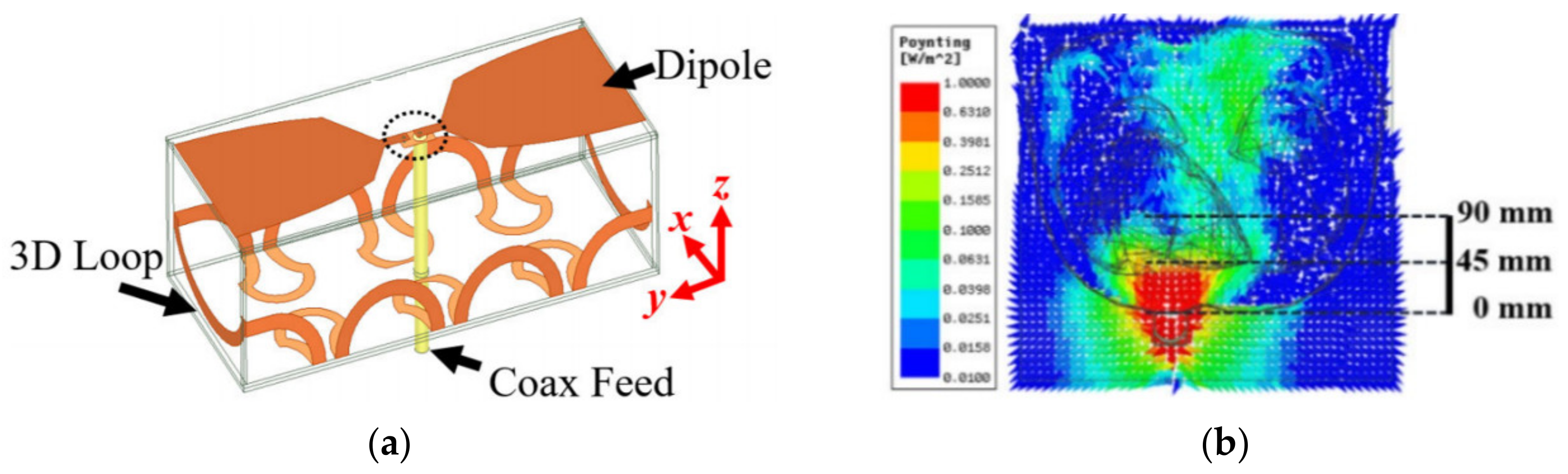 Biosensors 11 00135 g010
