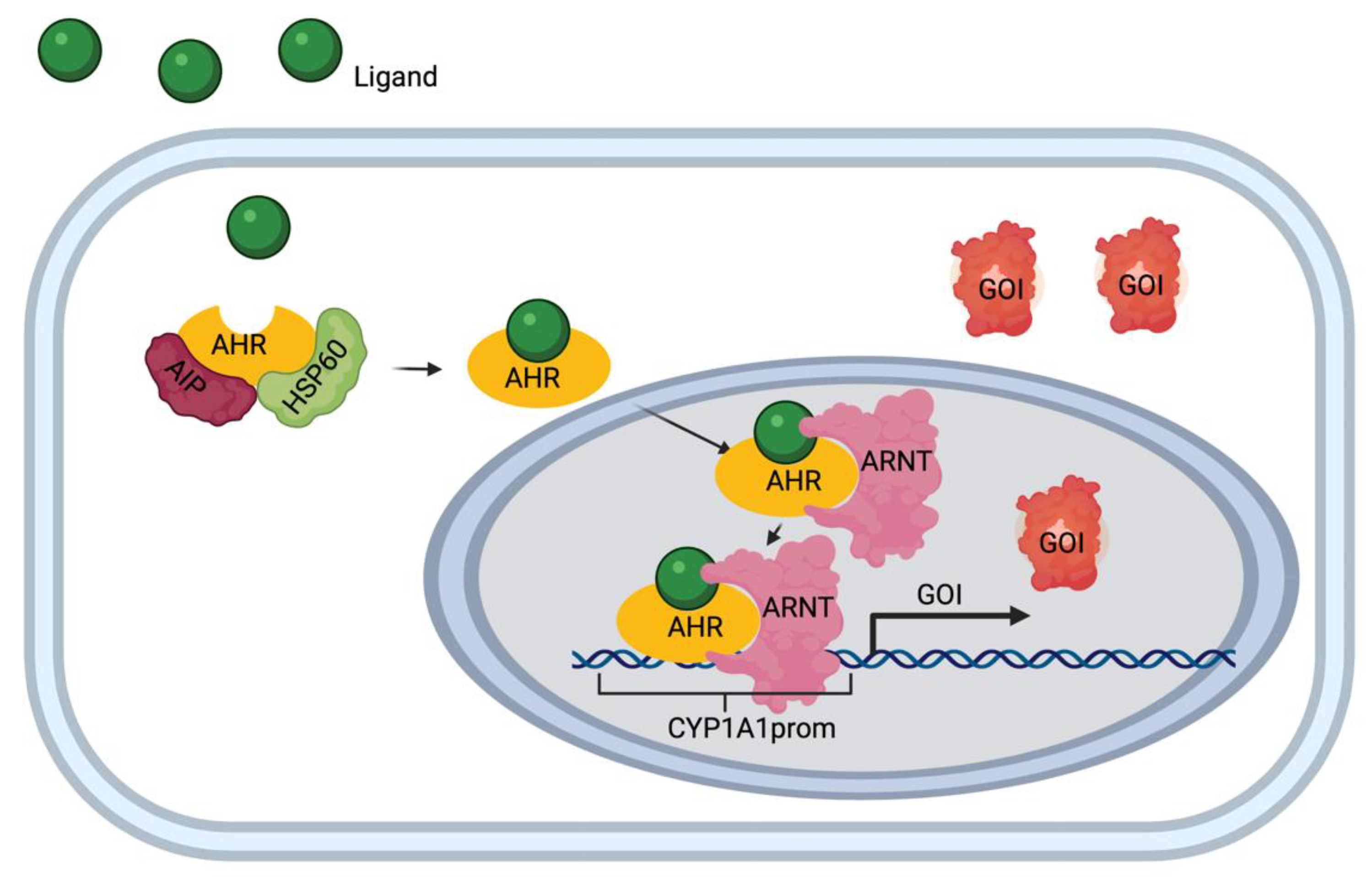 Biosensors 11 00137 g001 Biosensors 11 00137 g001