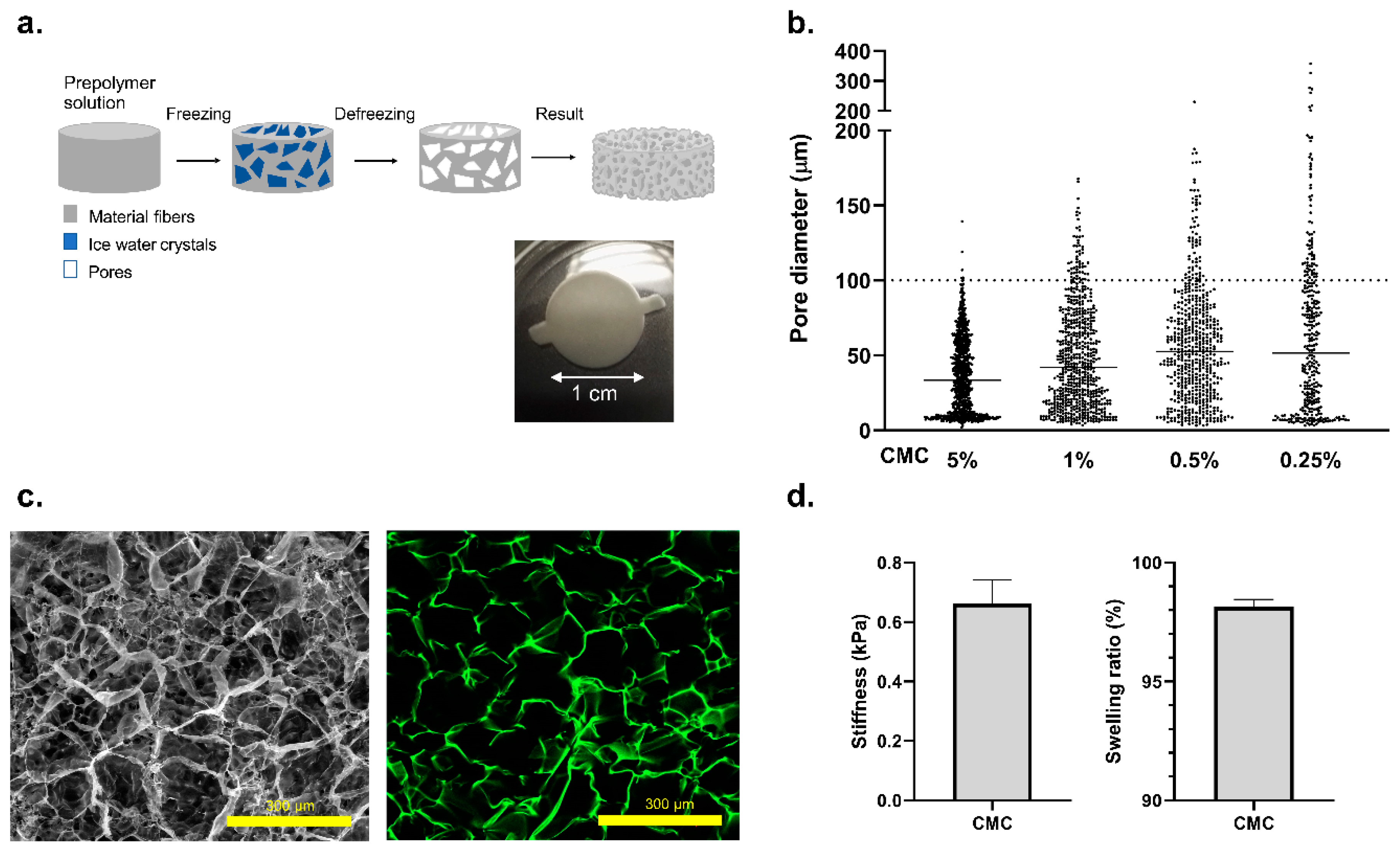 Biosensors 11 00138 g002 Biosensors 11 00138 g002