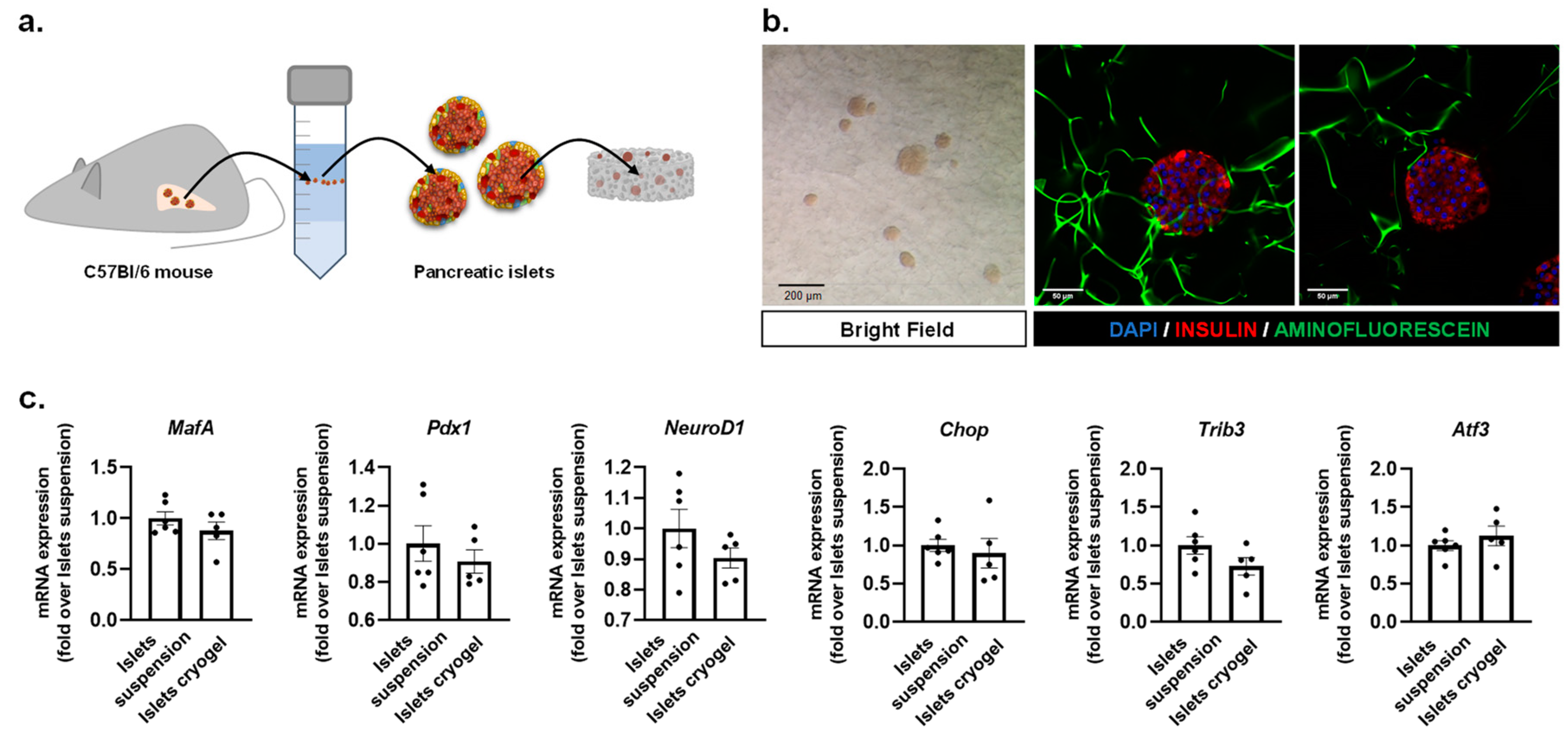 Biosensors 11 00138 g003 Biosensors 11 00138 g003