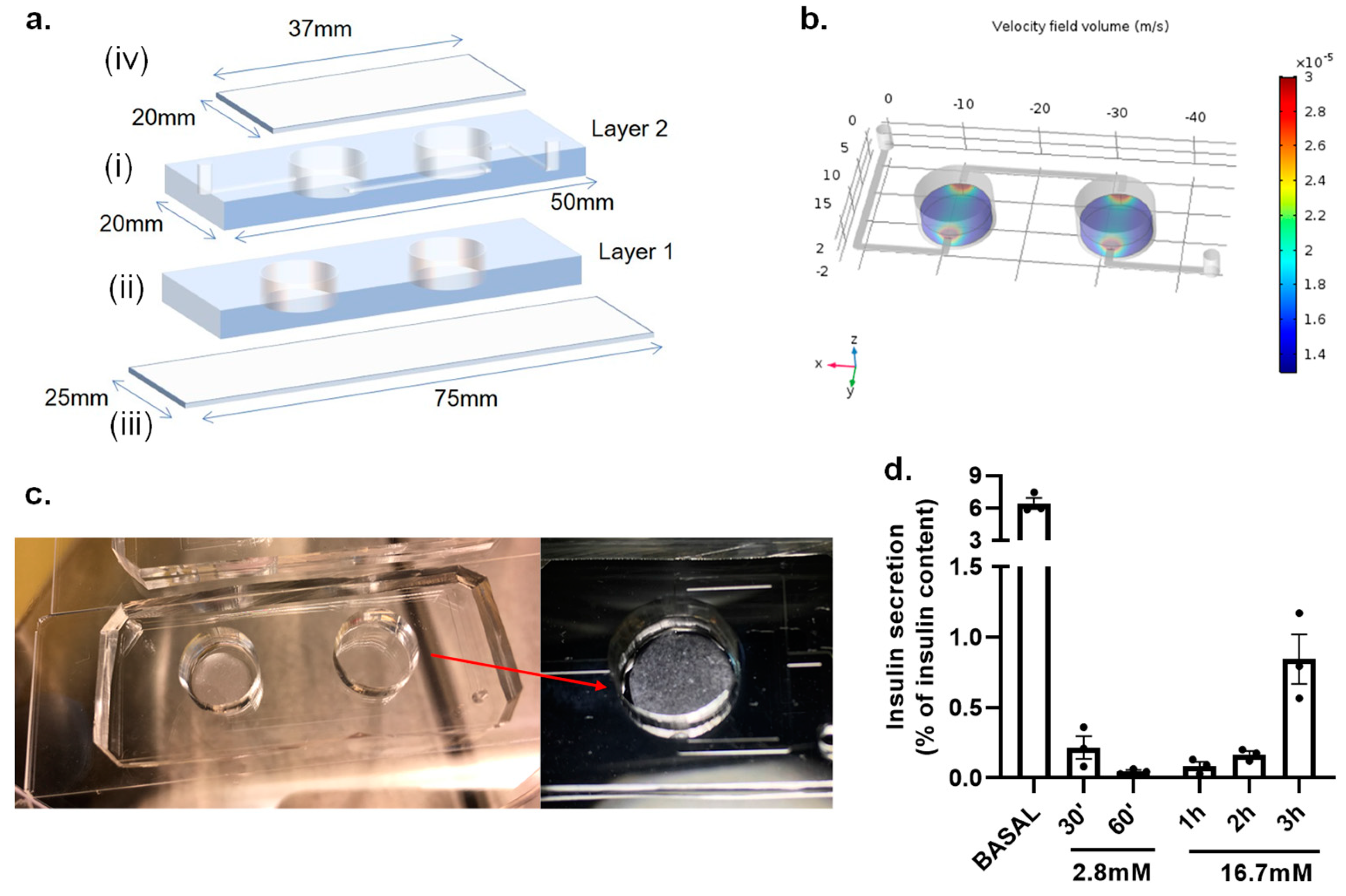 Biosensors 11 00138 g004 Biosensors 11 00138 g004
