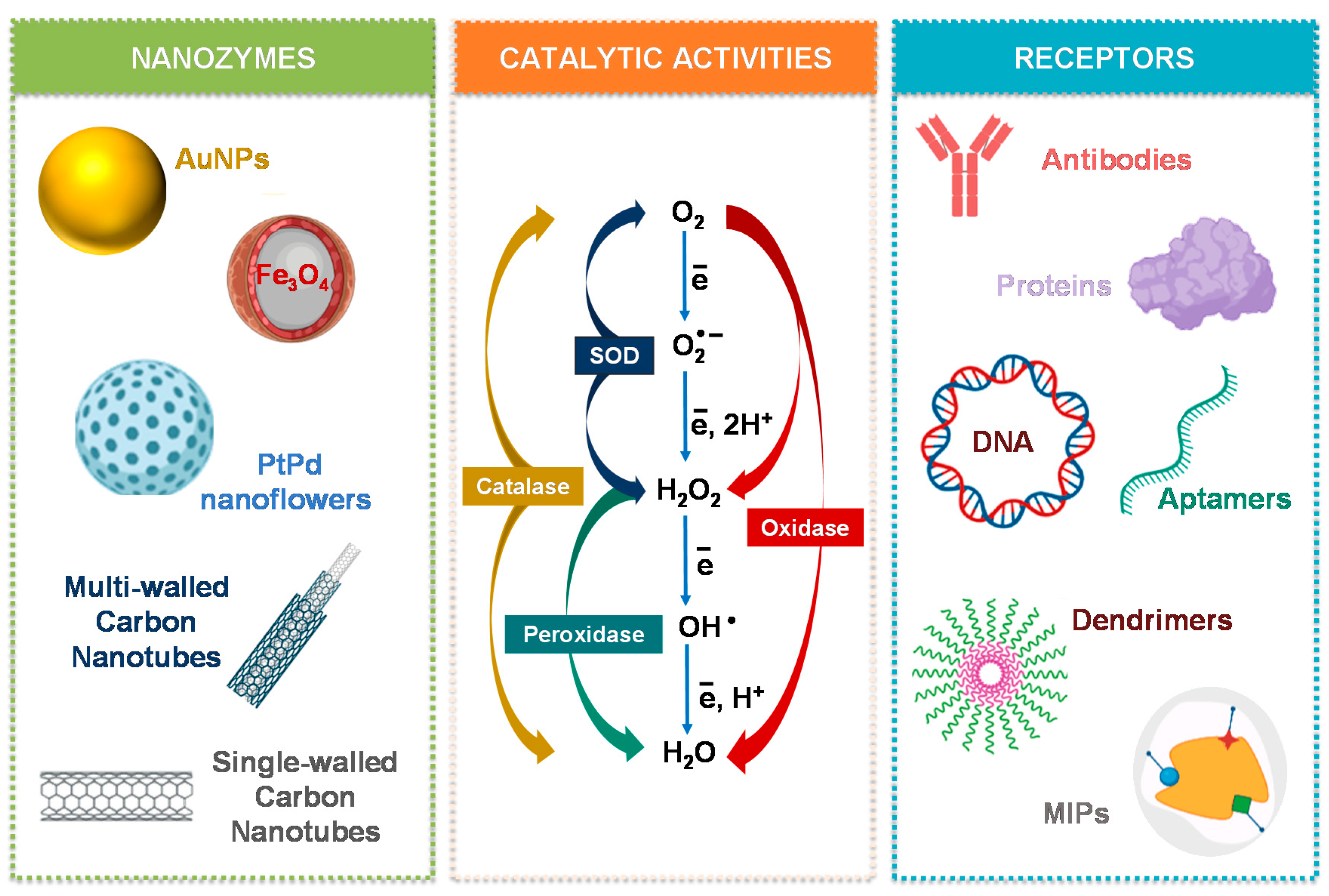 Biosensors 11 00152 g003