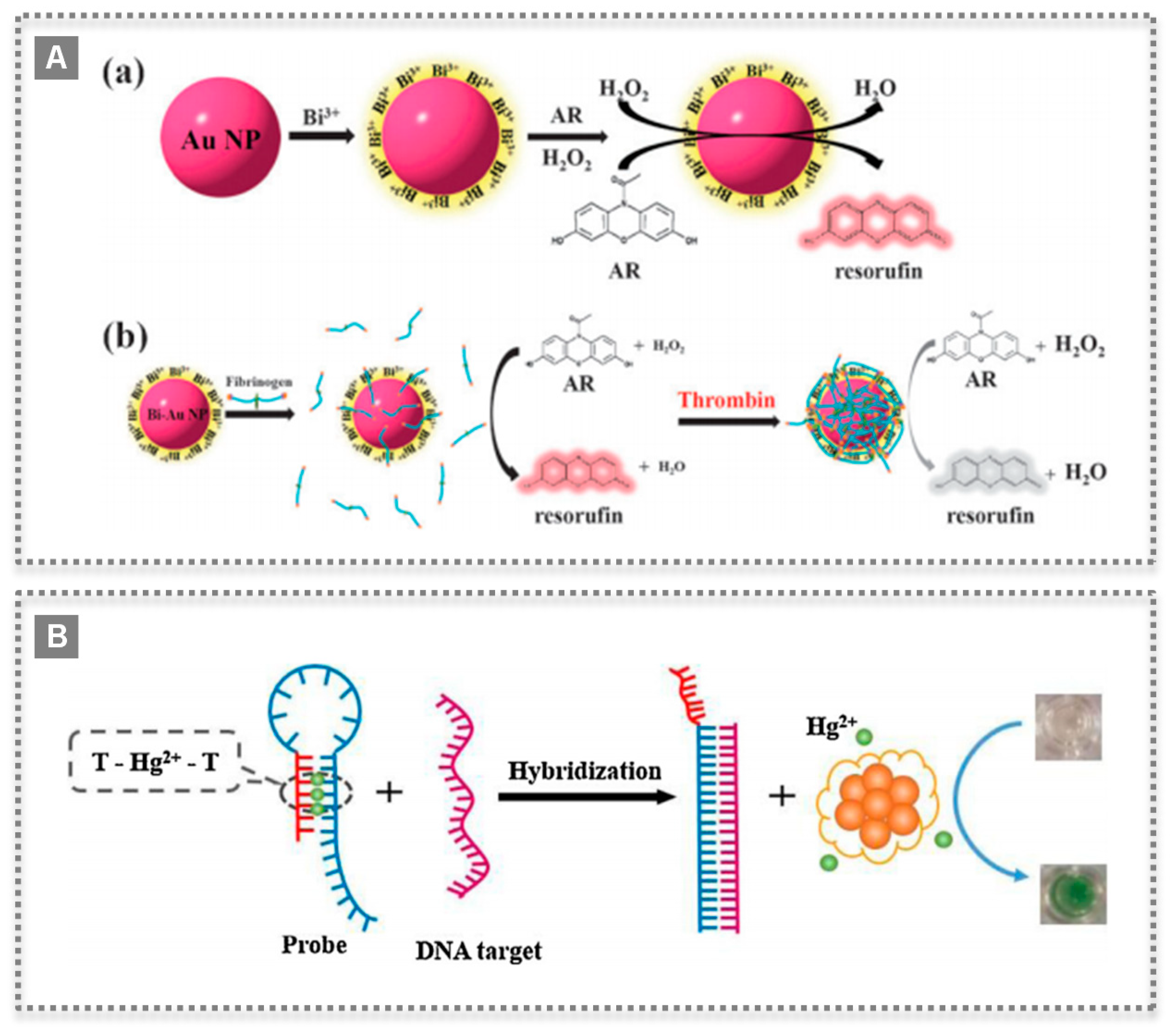 Biosensors 11 00152 g005