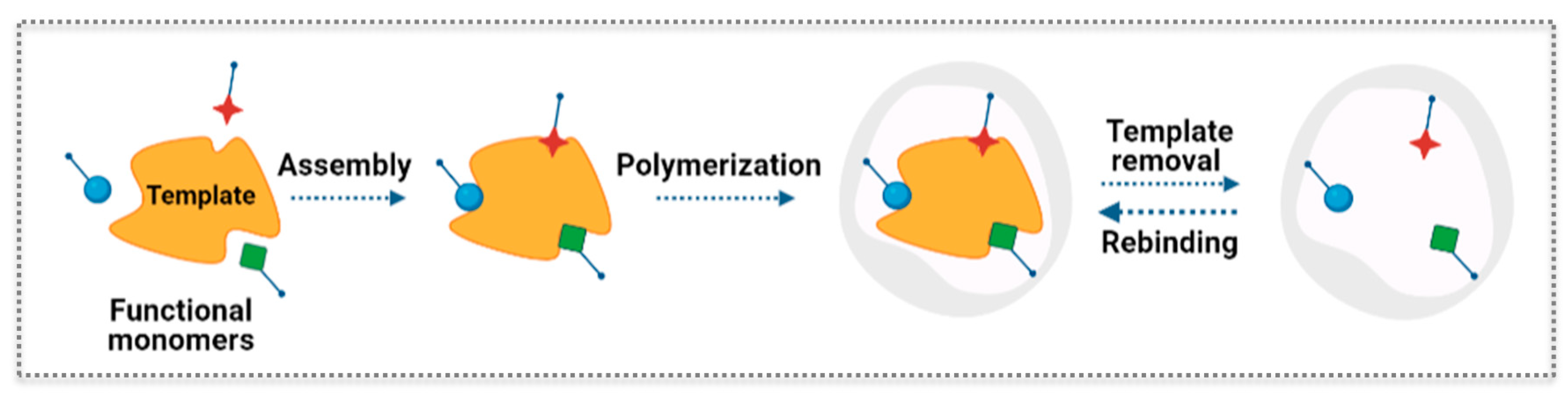 Biosensors 11 00152 g007