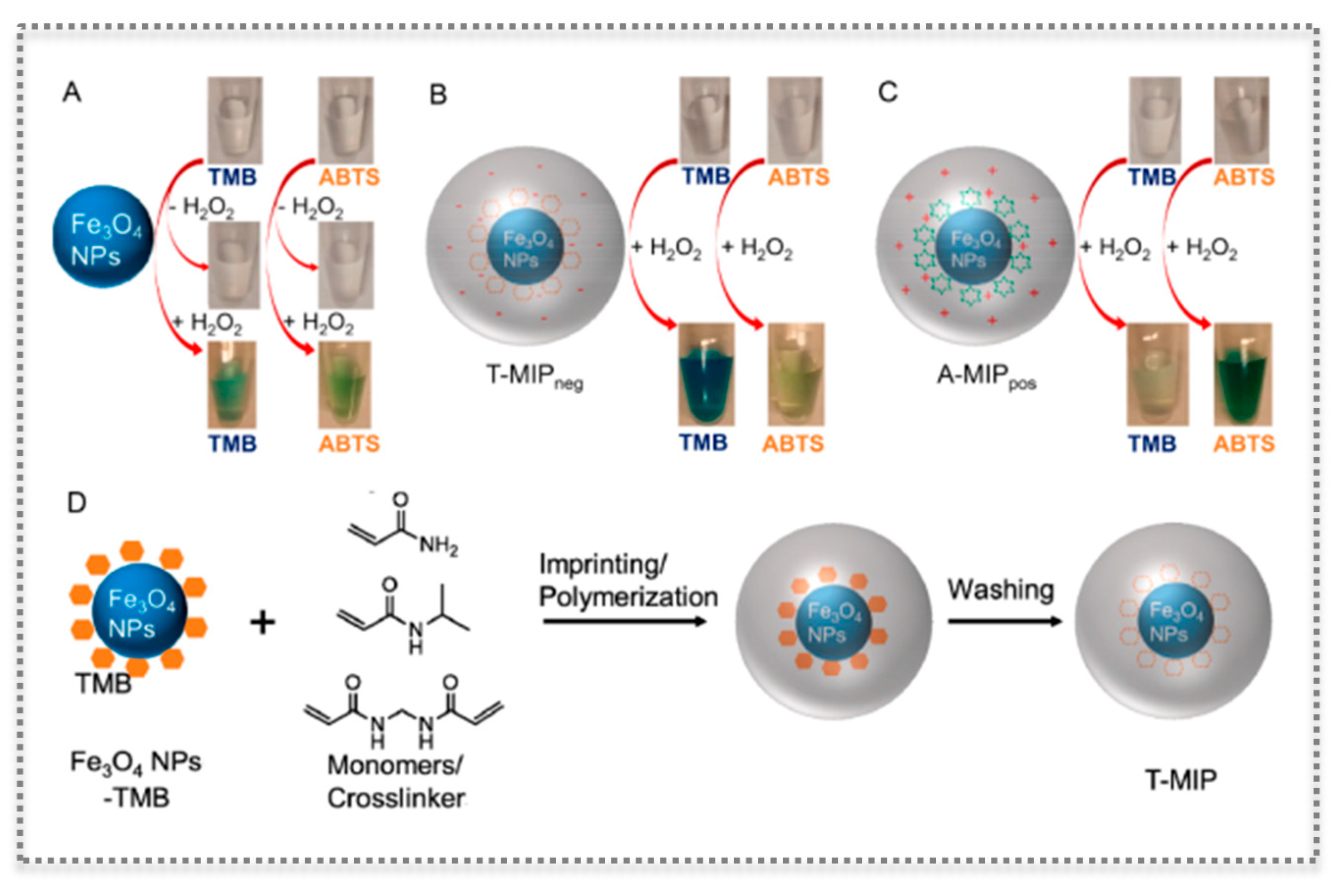 Biosensors 11 00152 g009