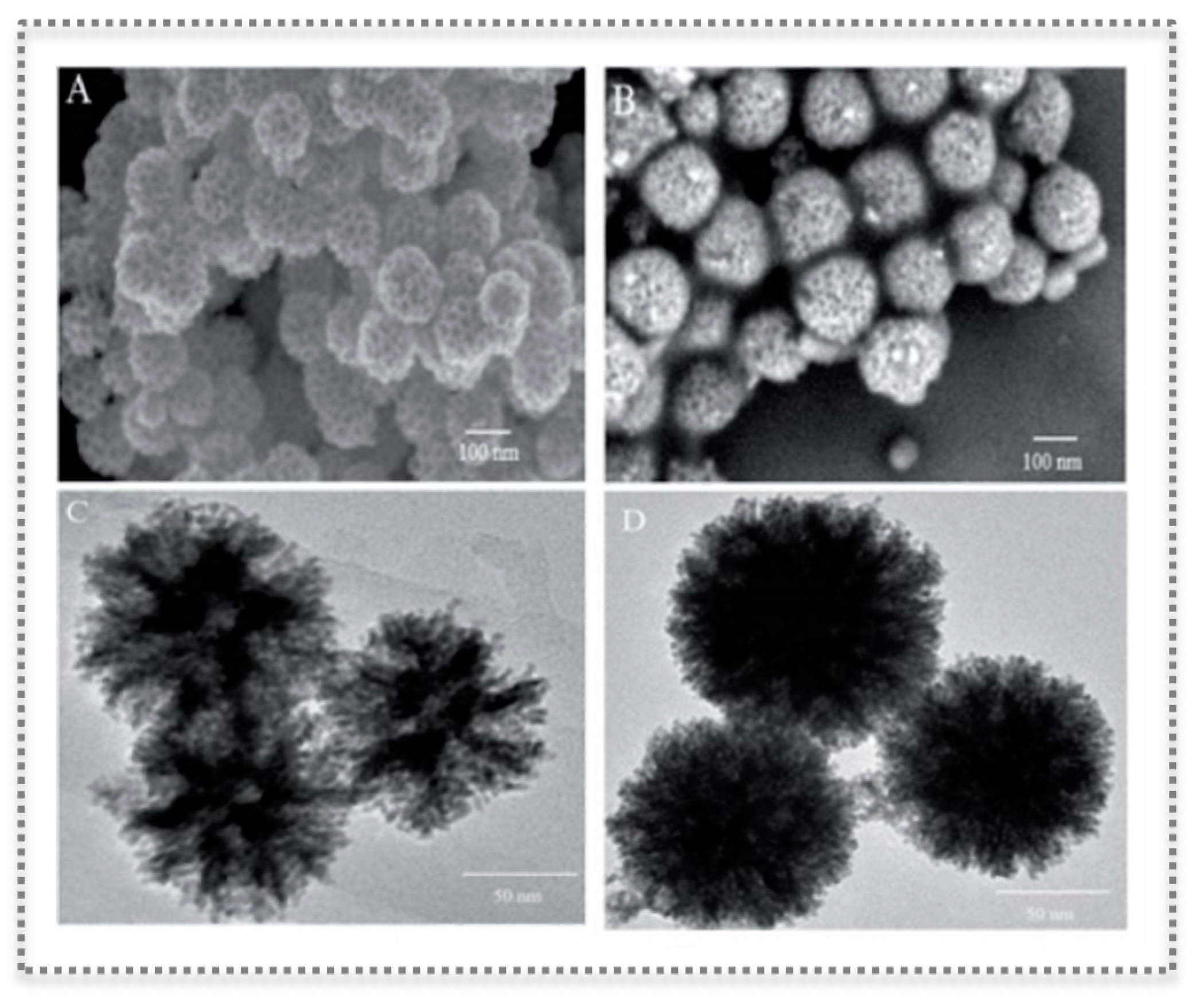 Biosensors 11 00152 g010