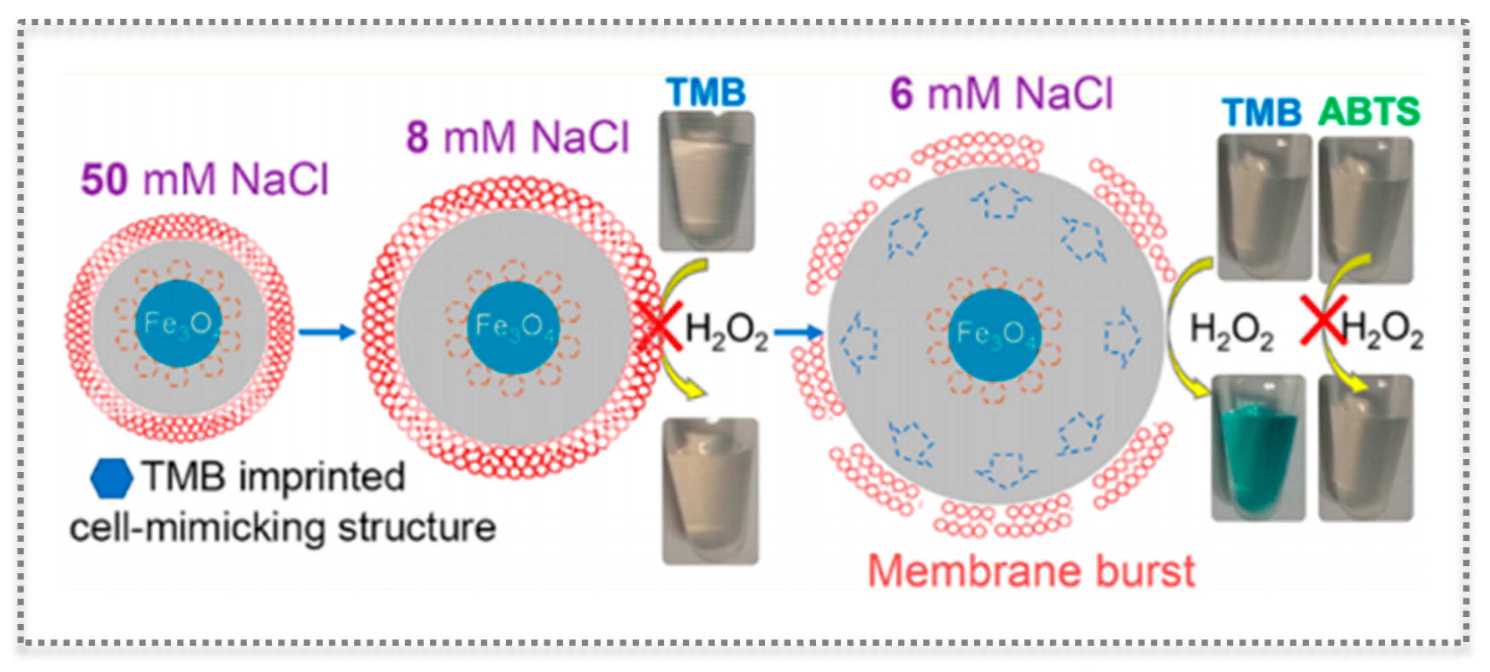 Biosensors 11 00152 g011