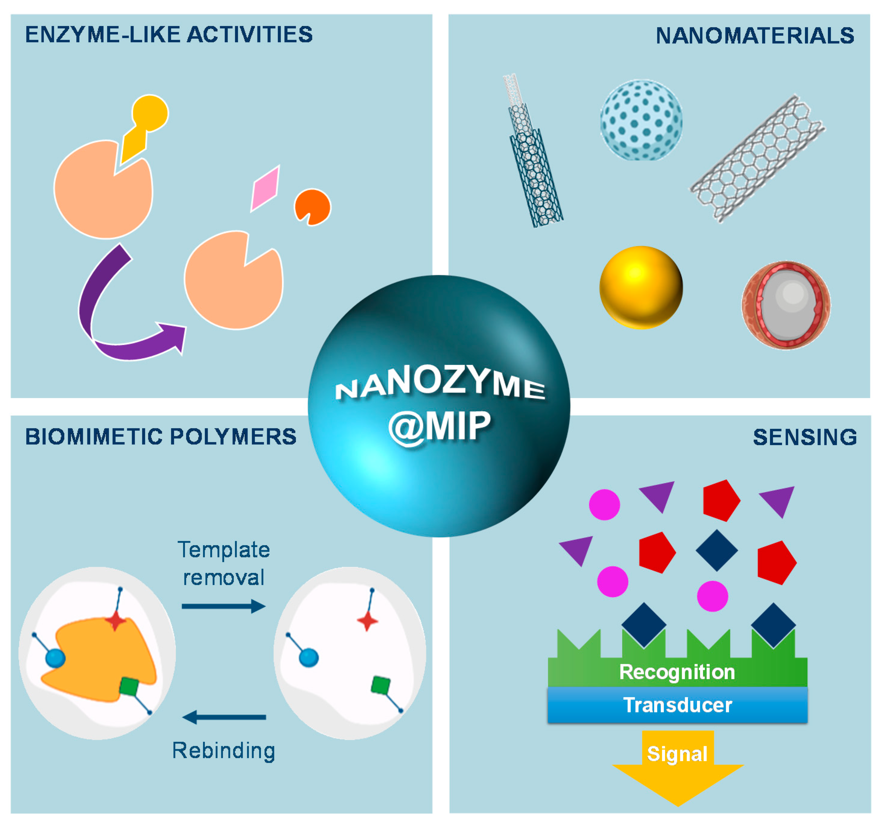 Biosensors 11 00152 g012