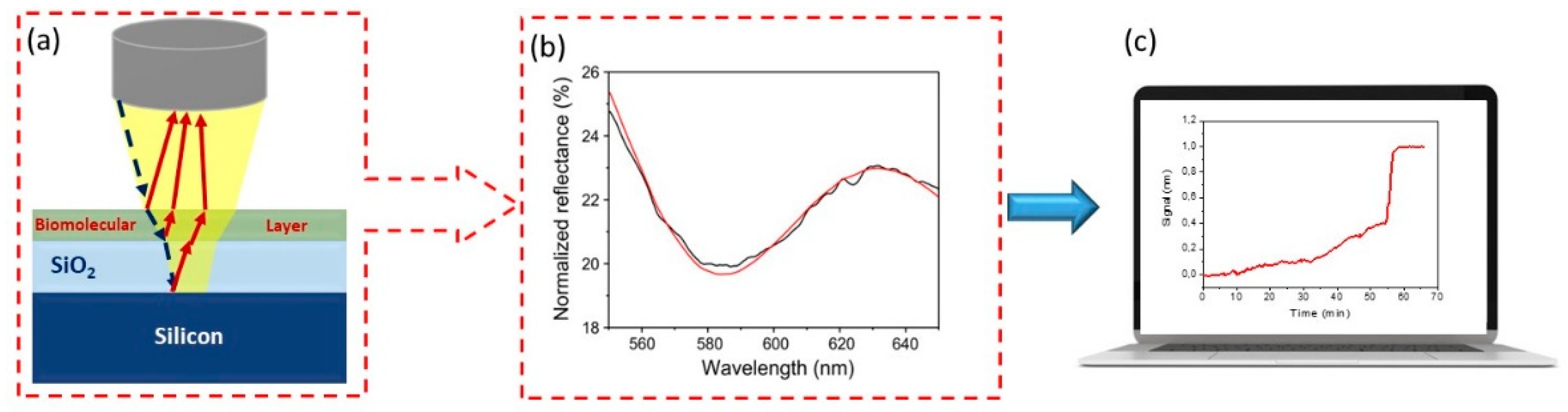 Biosensors 11 00153 sch001 Biosensors 11 00153 sch001