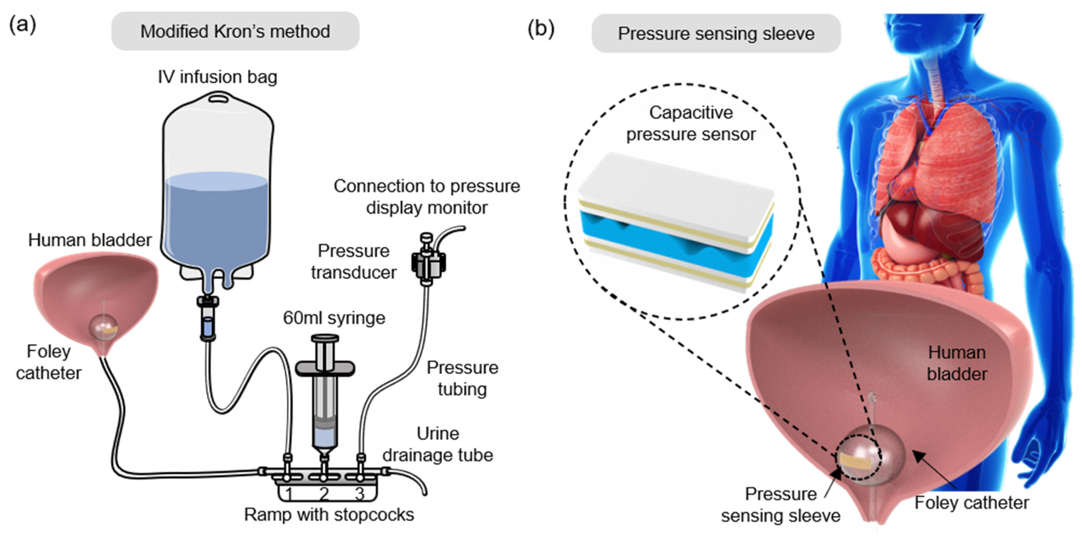 Biosensors 11 00156 g001 Biosensors 11 00156 g001