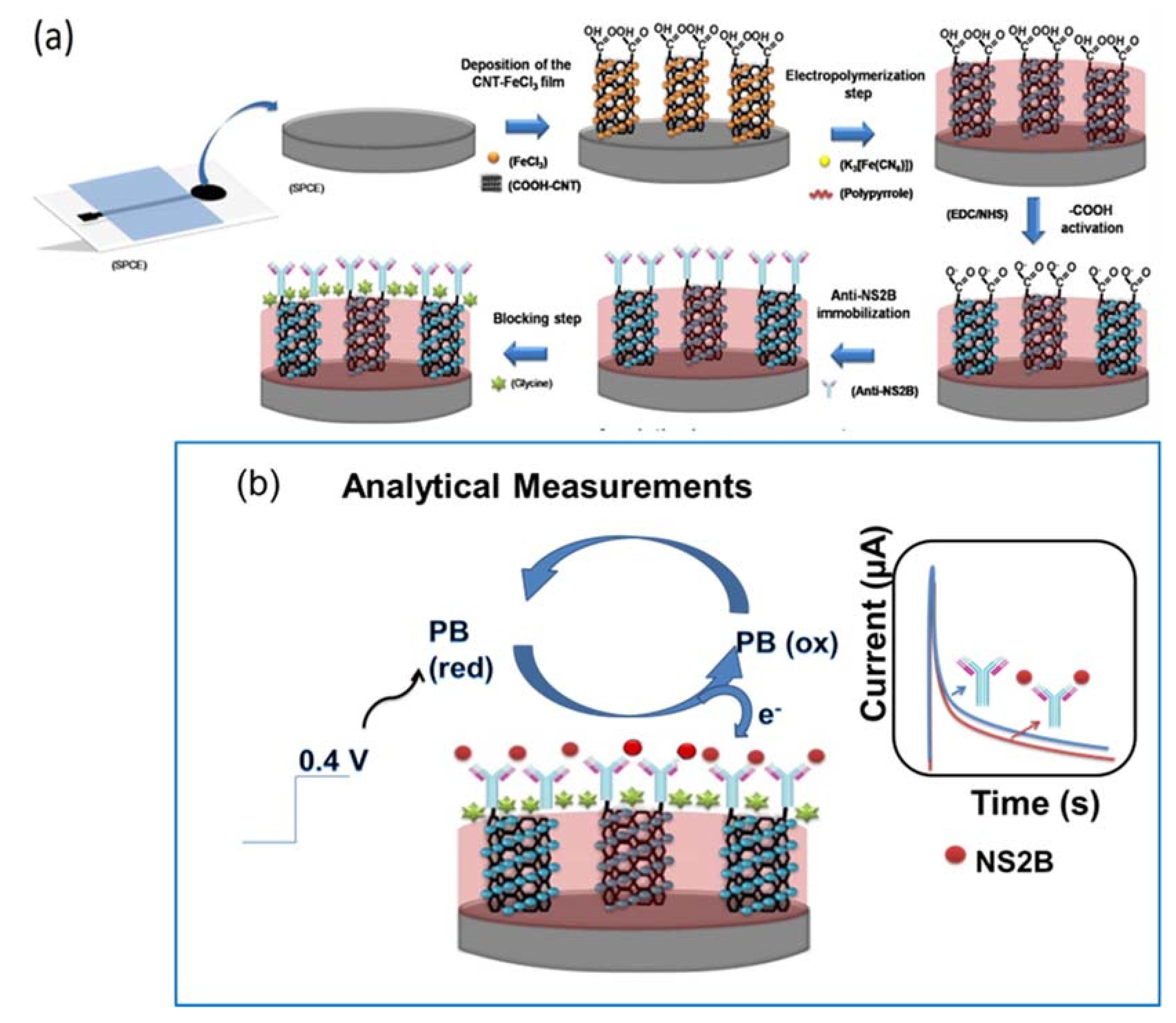 Biosensors 11 00157 g001