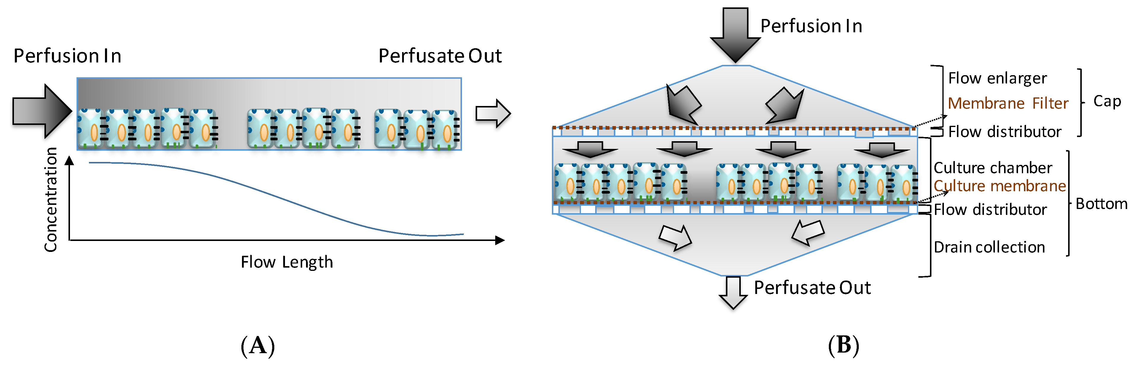 Biosensors 11 00160 g001