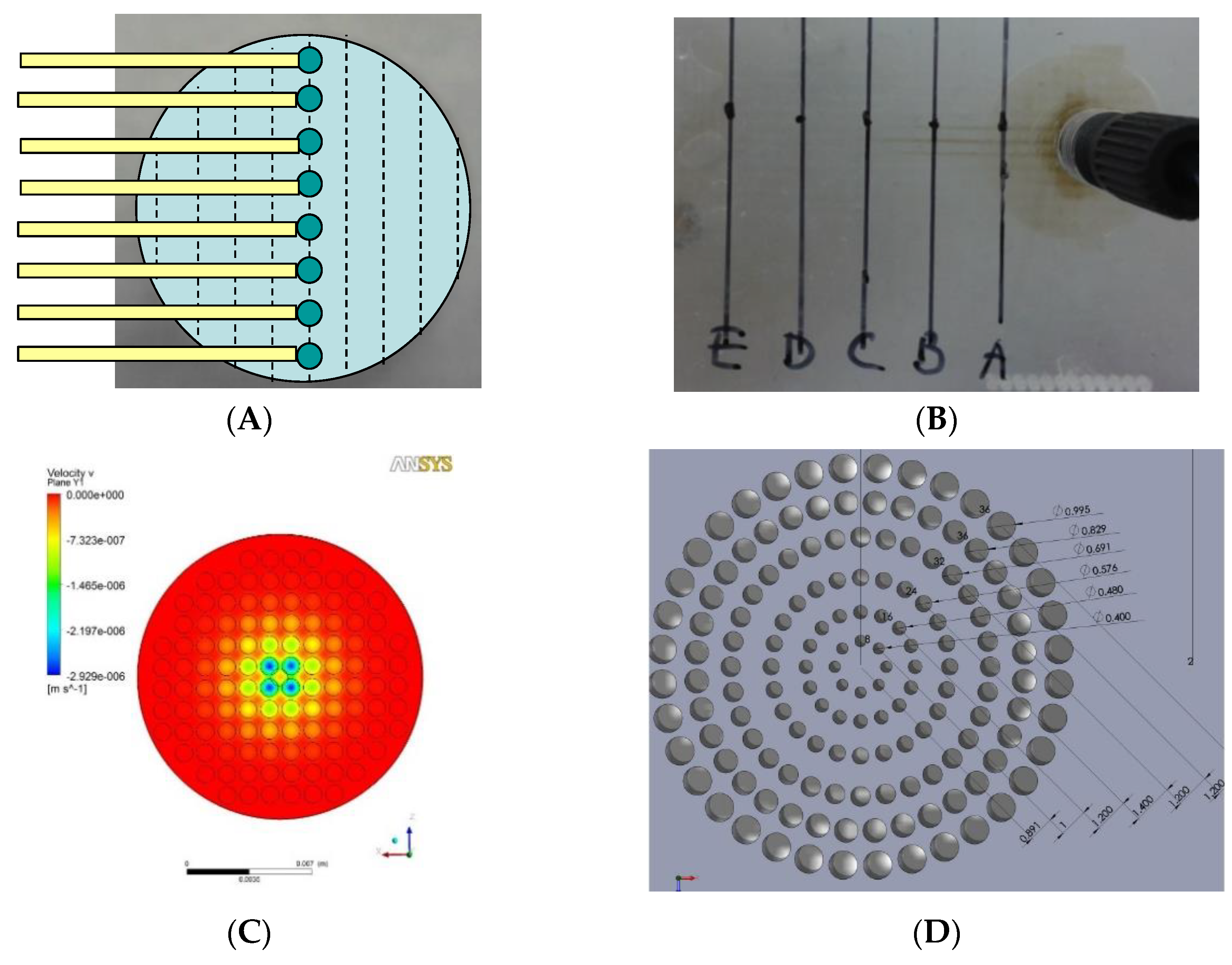 Biosensors 11 00160 g002a