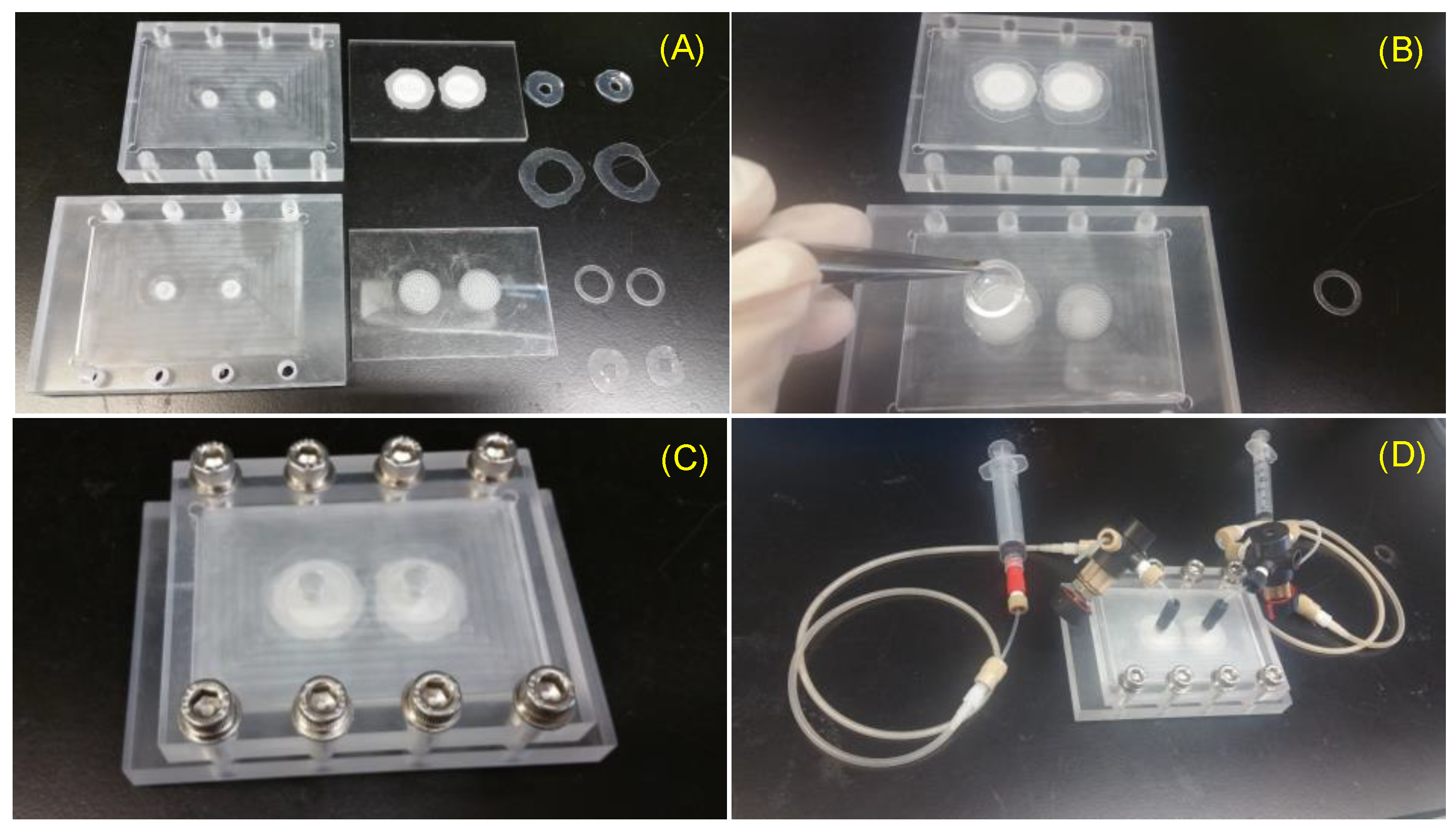 Biosensors 11 00160 g003