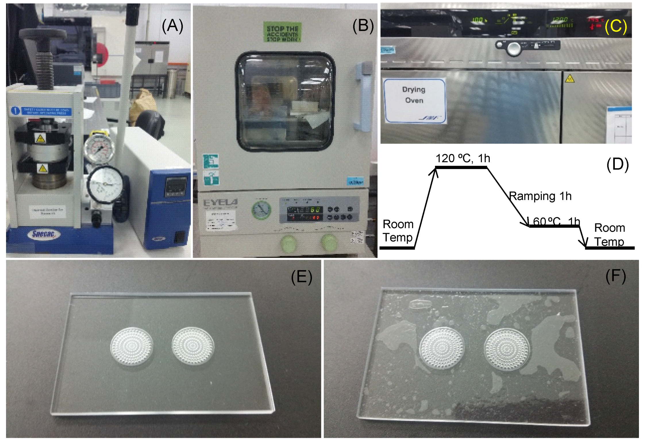 Biosensors 11 00160 g004