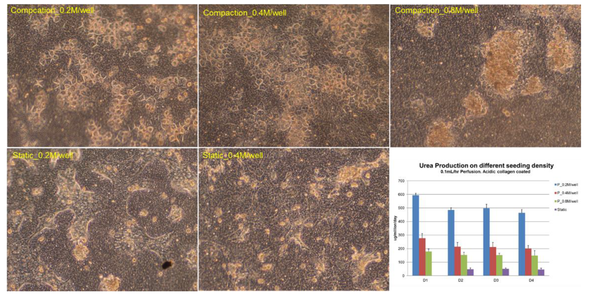 Biosensors 11 00160 g005