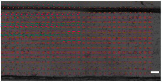 Biosensors 11 00162 g0a1