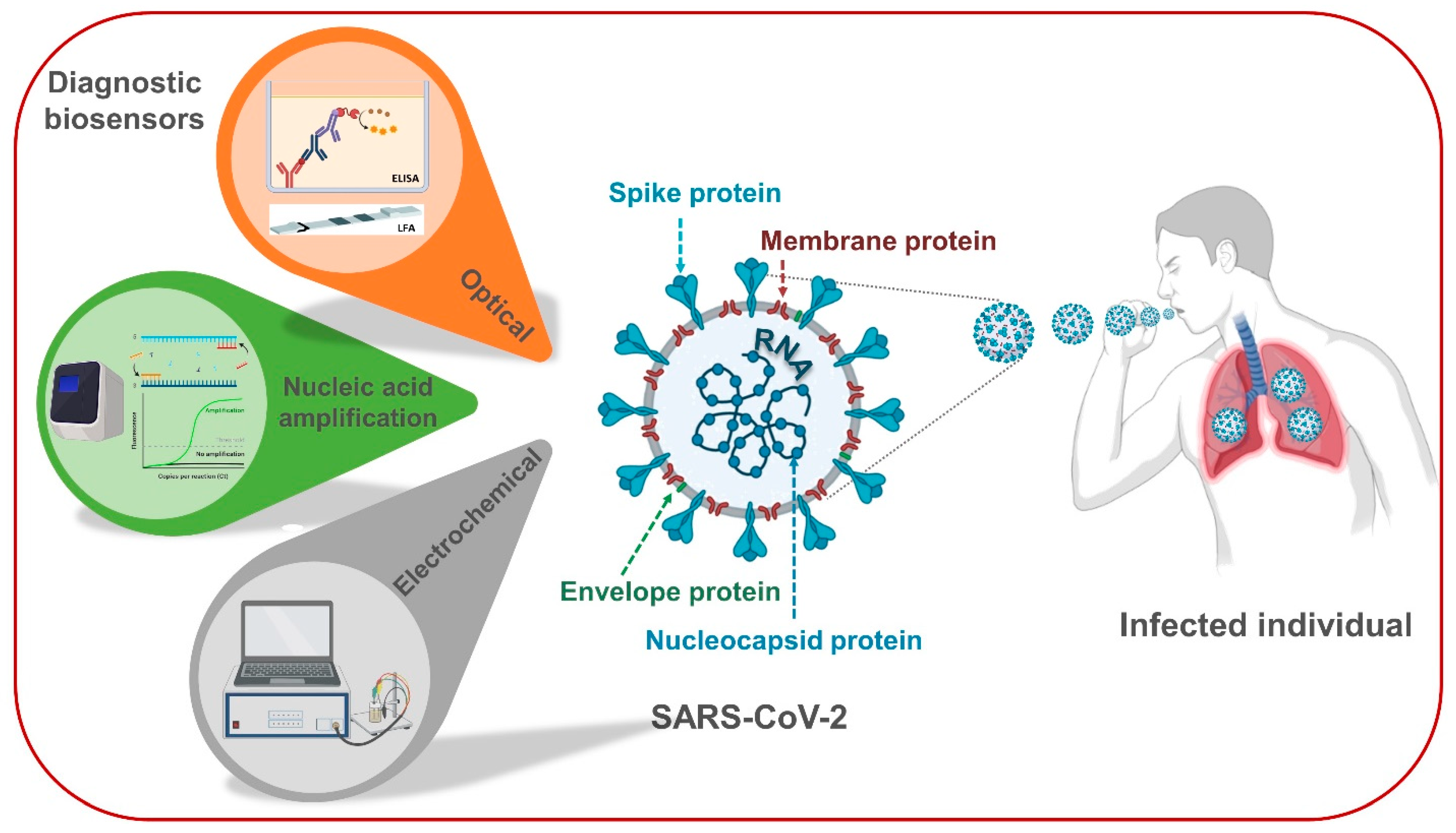 Biosensors 11 00167 g001
