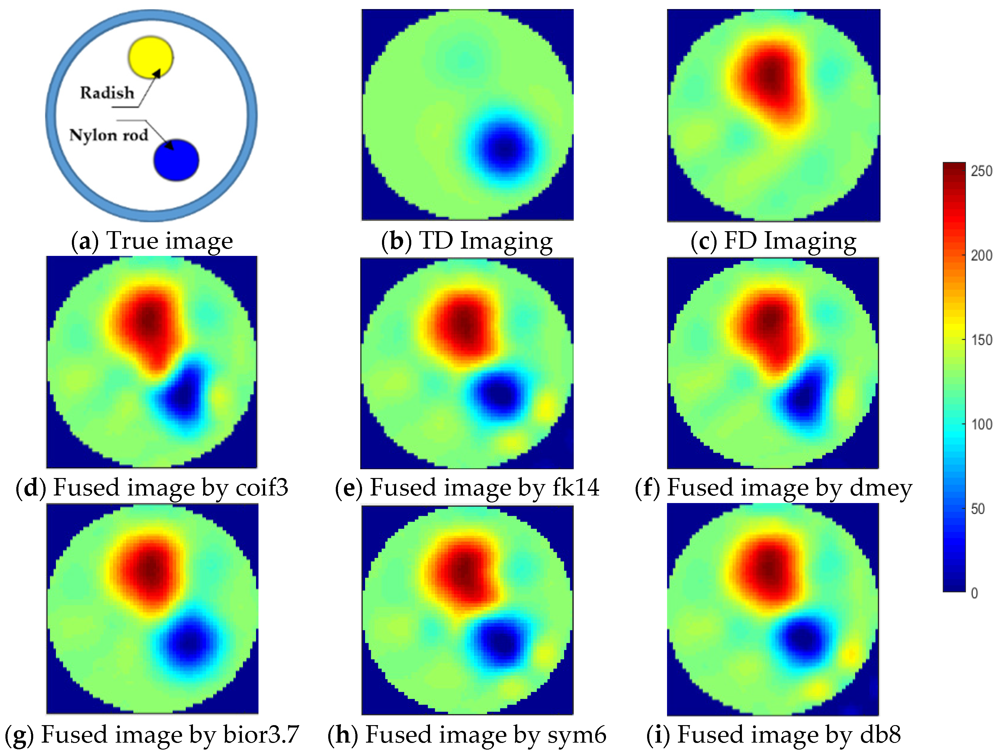 Biosensors 11 00176 g008 Biosensors 11 00176 g008