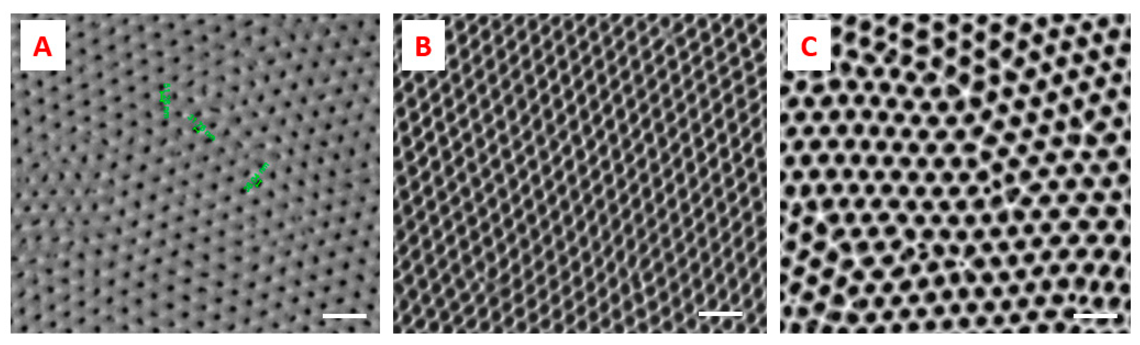 Biosensors 11 00181 g002