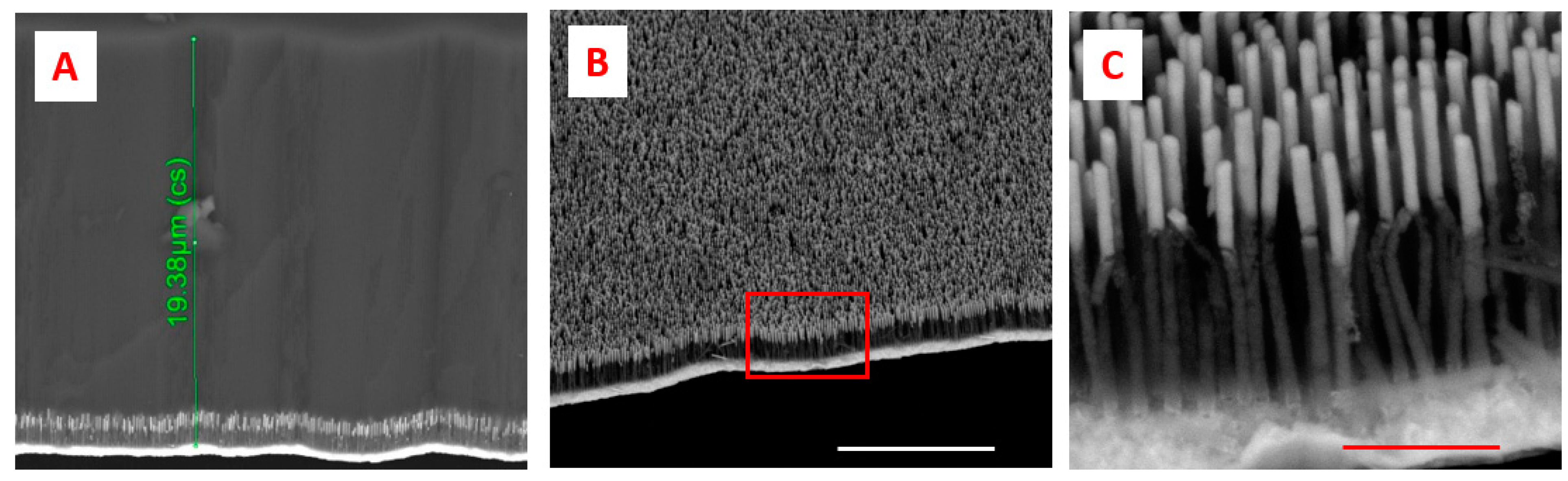 Biosensors 11 00181 g004