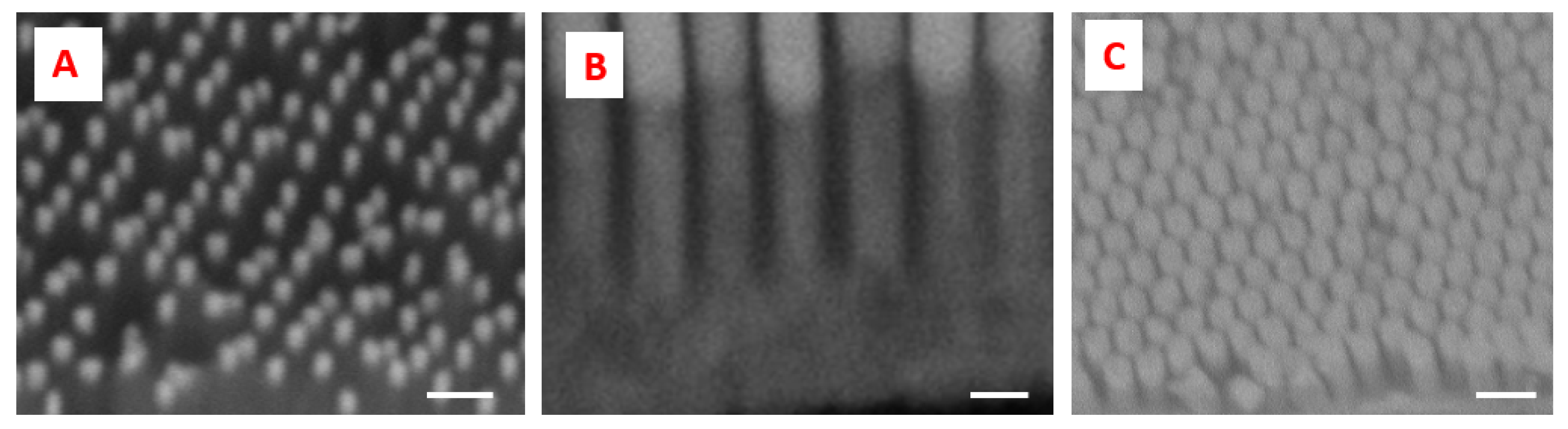 Biosensors 11 00181 g005