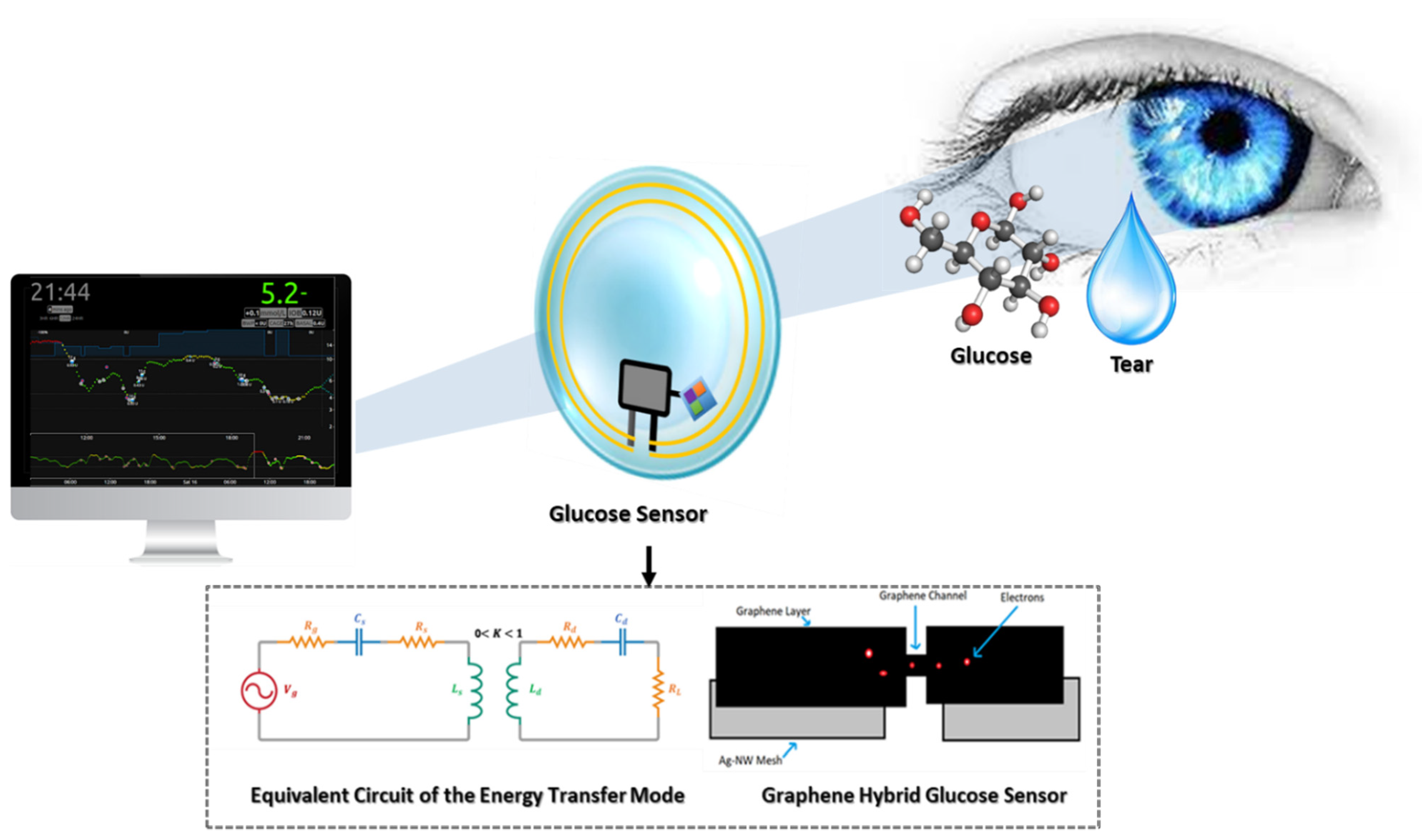 Biosensors 11 00189 g006