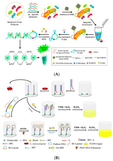 Biosensors 11 00190 g008