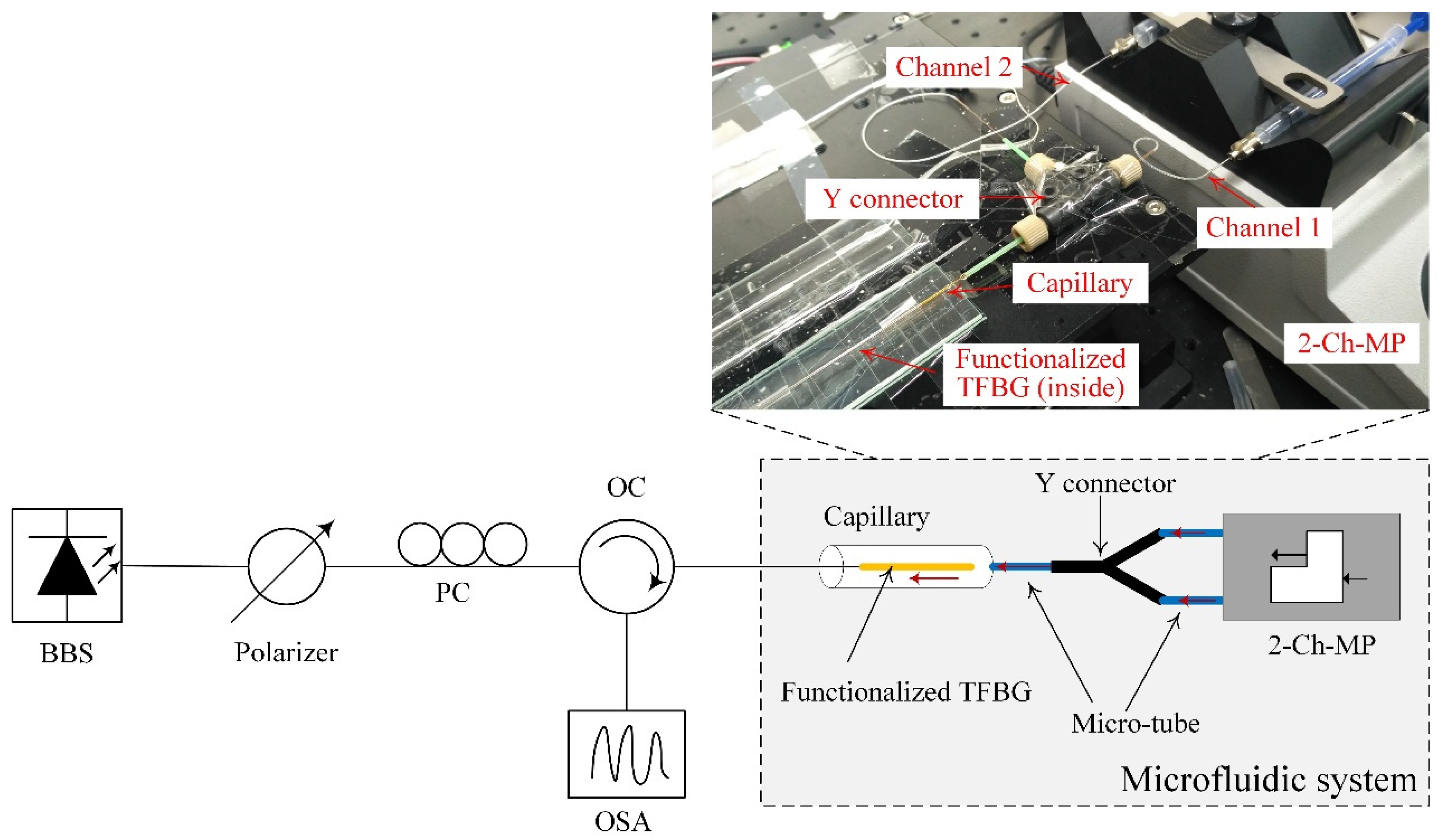 Biosensors 11 00195 g003