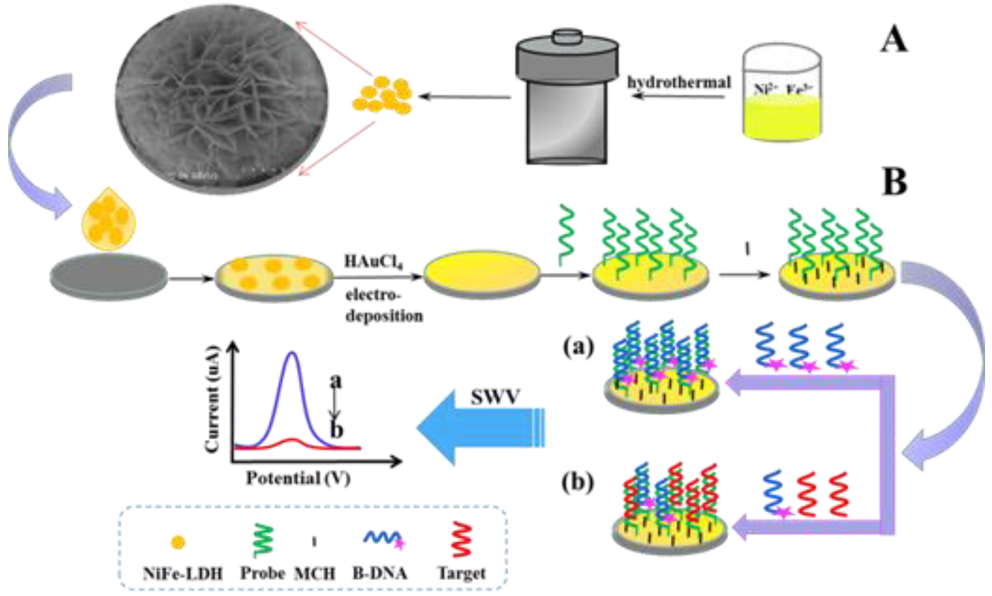 Biosensors 11 00207 g001