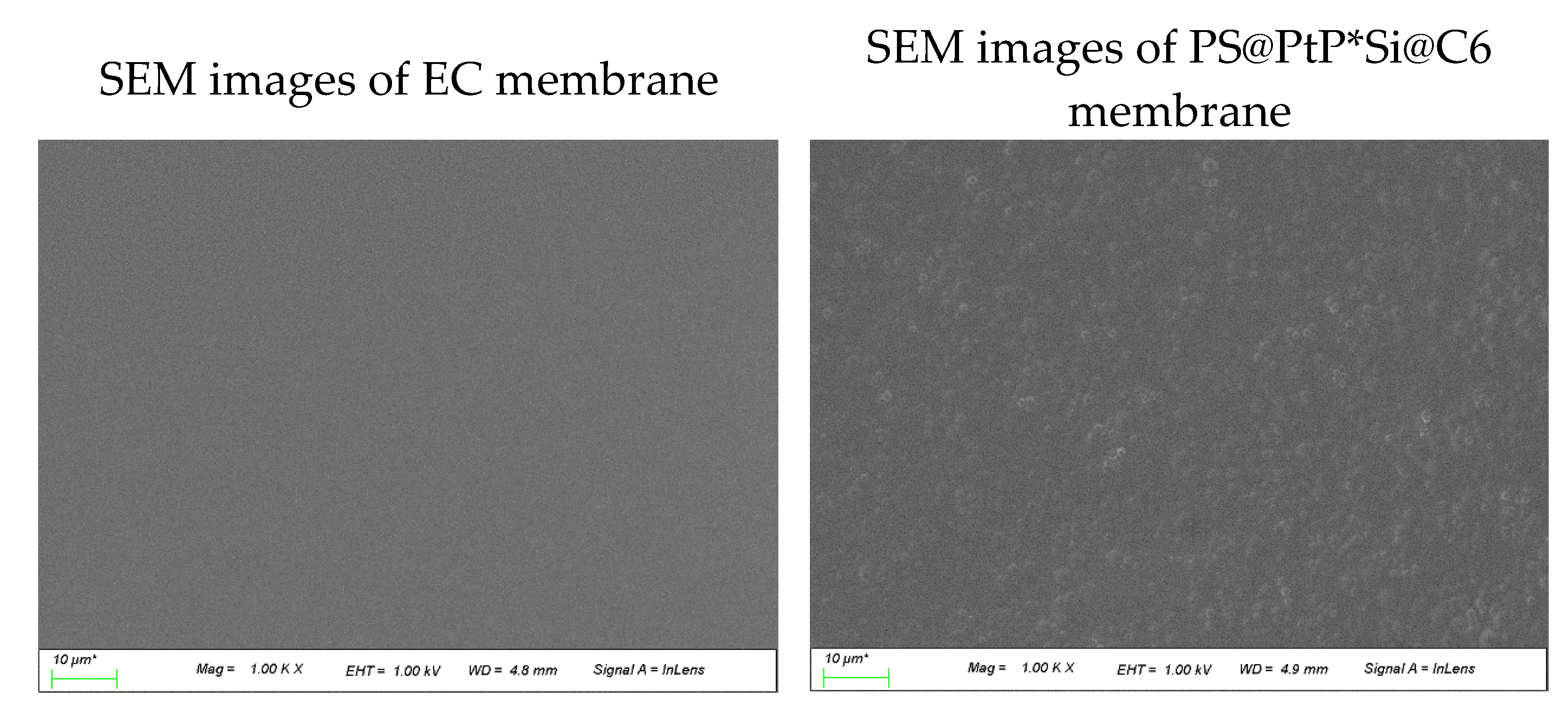 Biosensors 11 00208 g002a