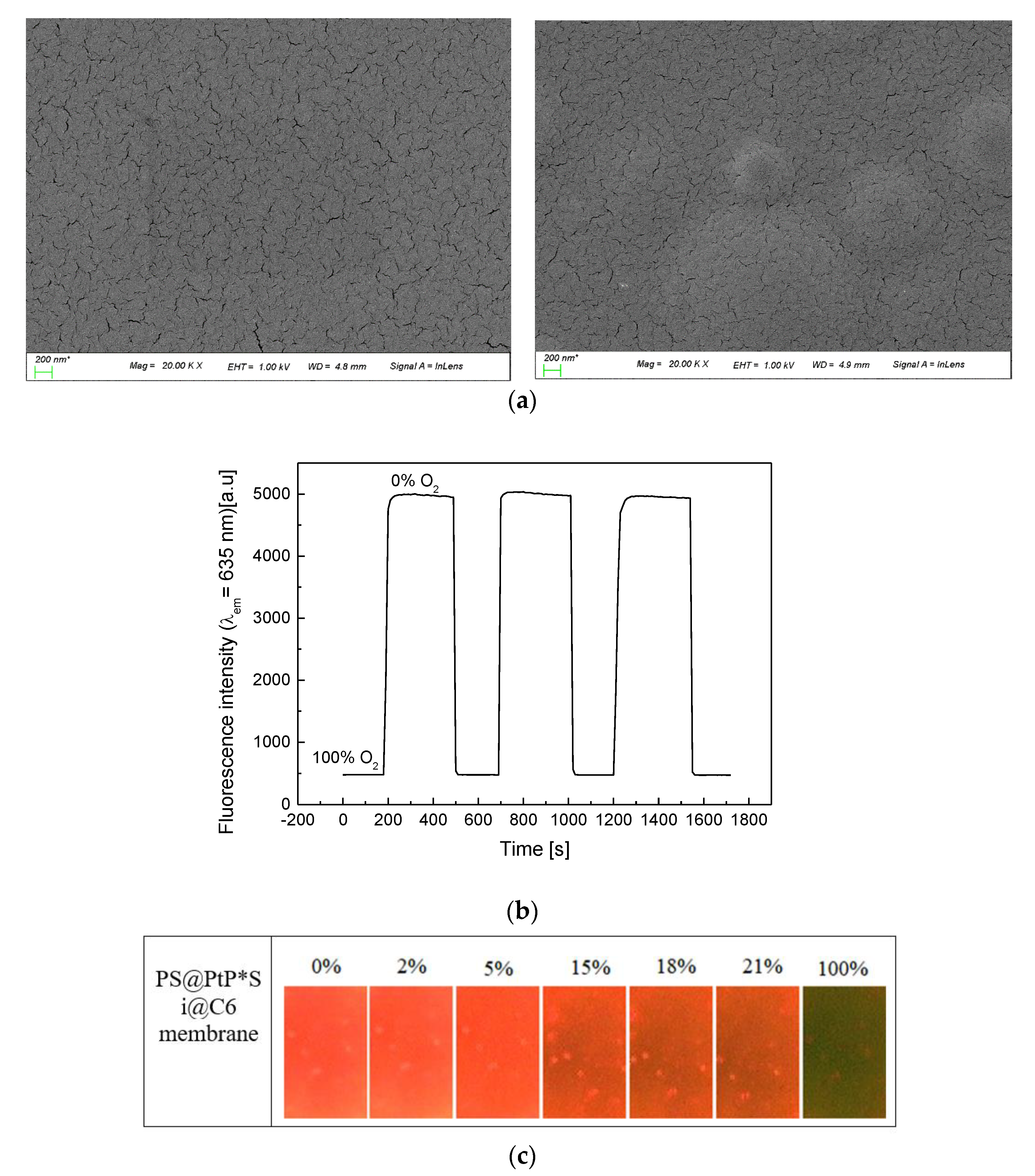 Biosensors 11 00208 g002b
