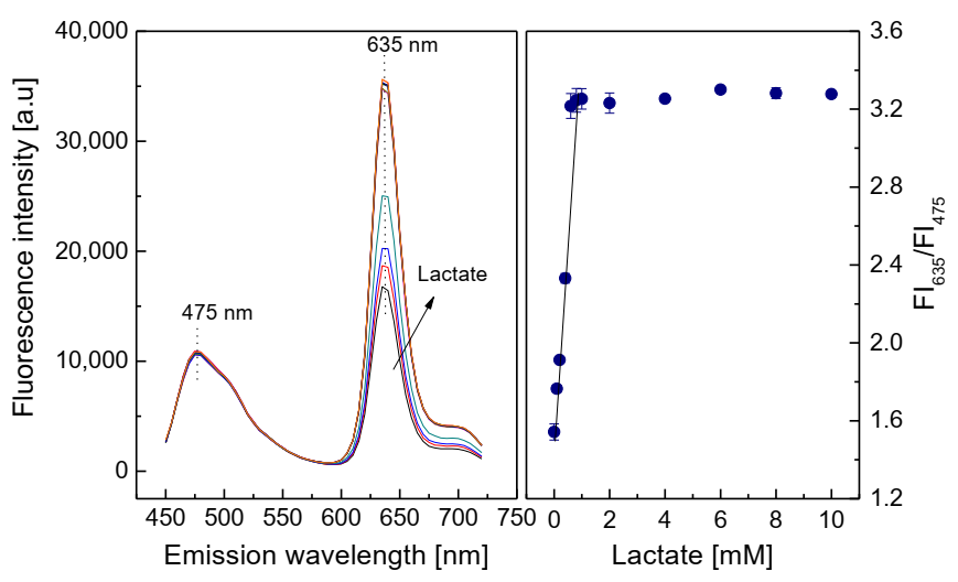 Biosensors 11 00208 g008