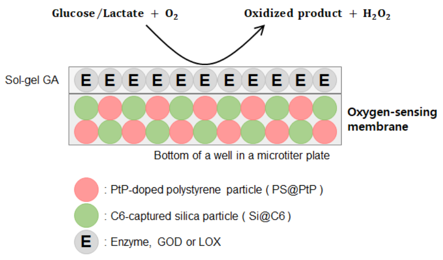 Biosensors 11 00208 sch001