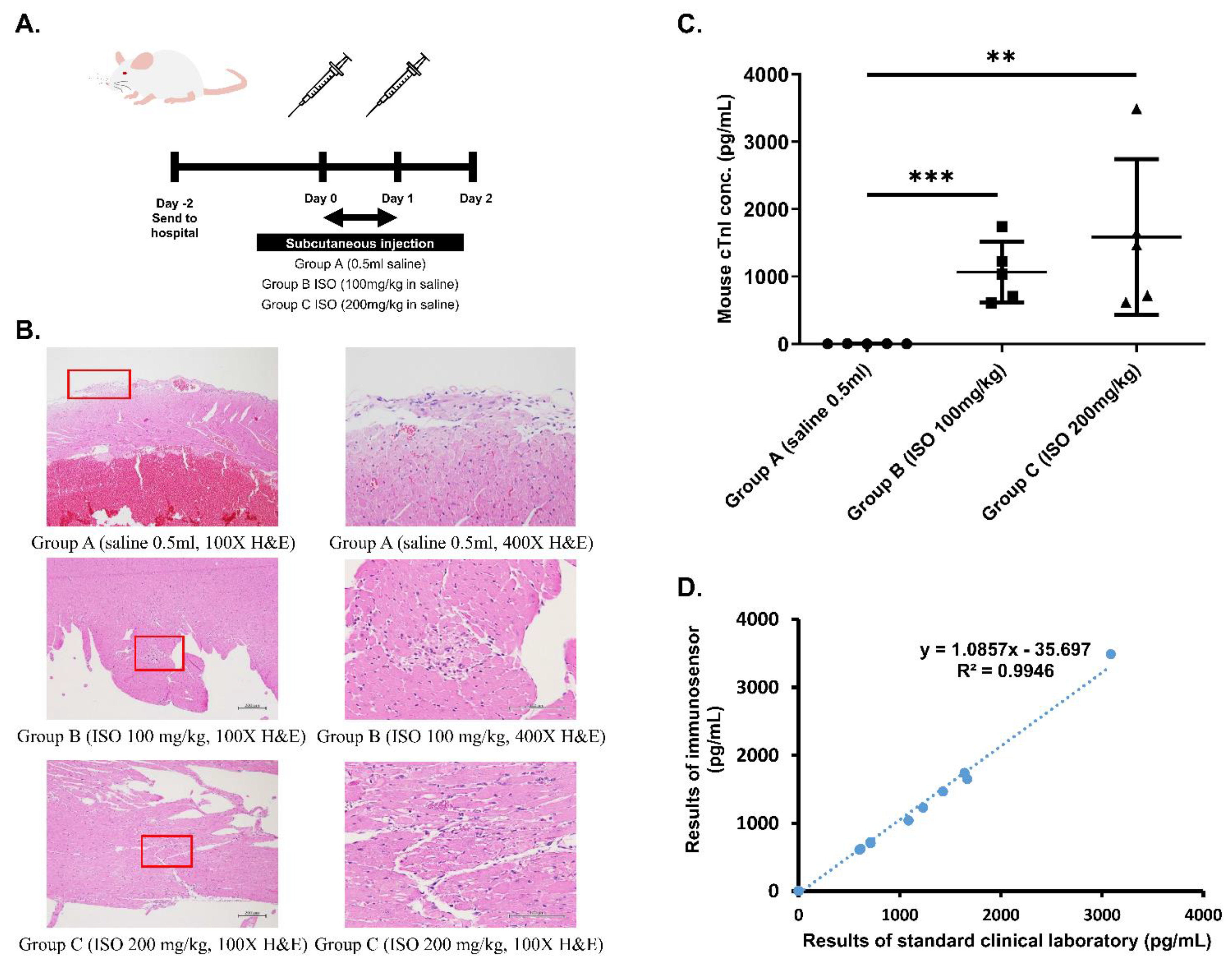 Biosensors 11 00210 g002