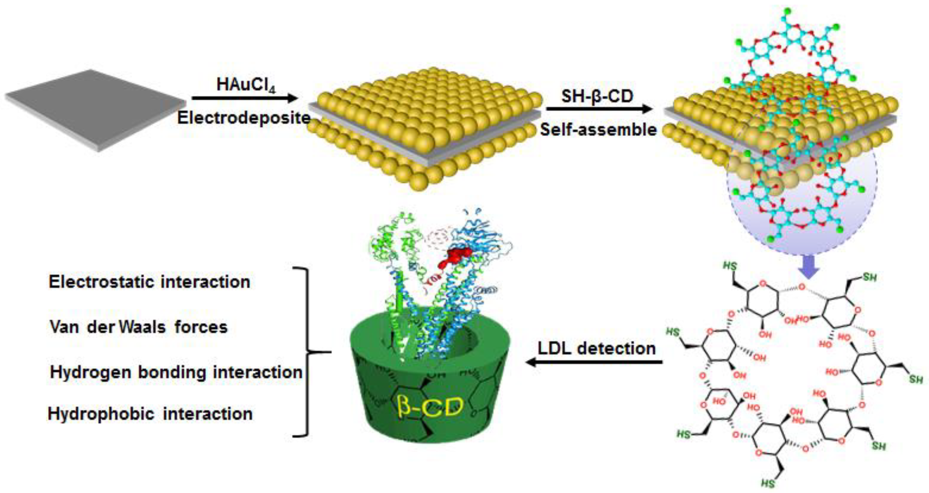 Biosensors 11 00216 g001