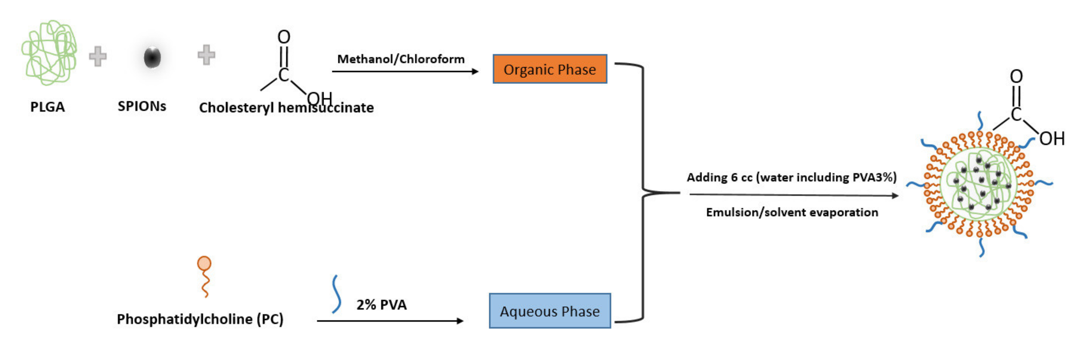 Biosensors 11 00218 g001
