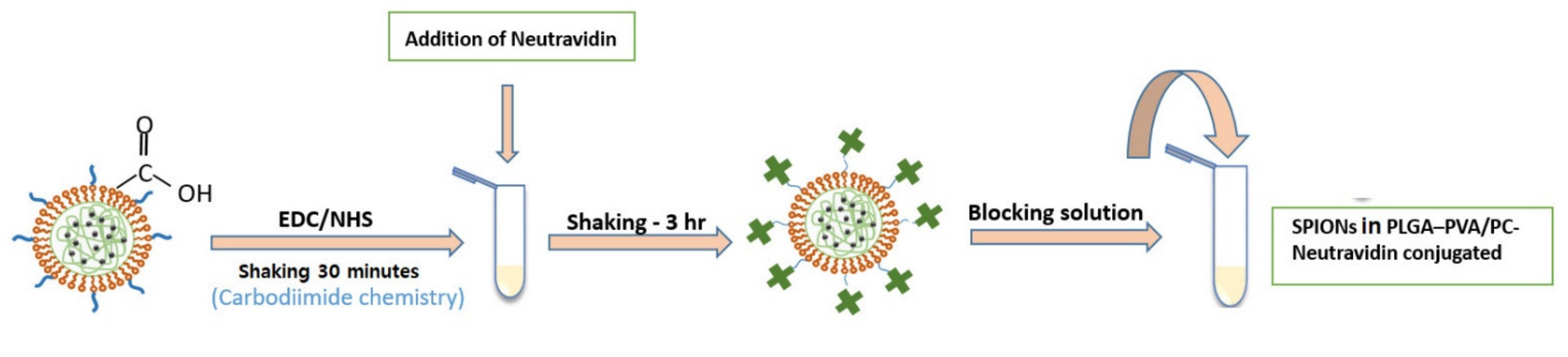 Biosensors 11 00218 g003