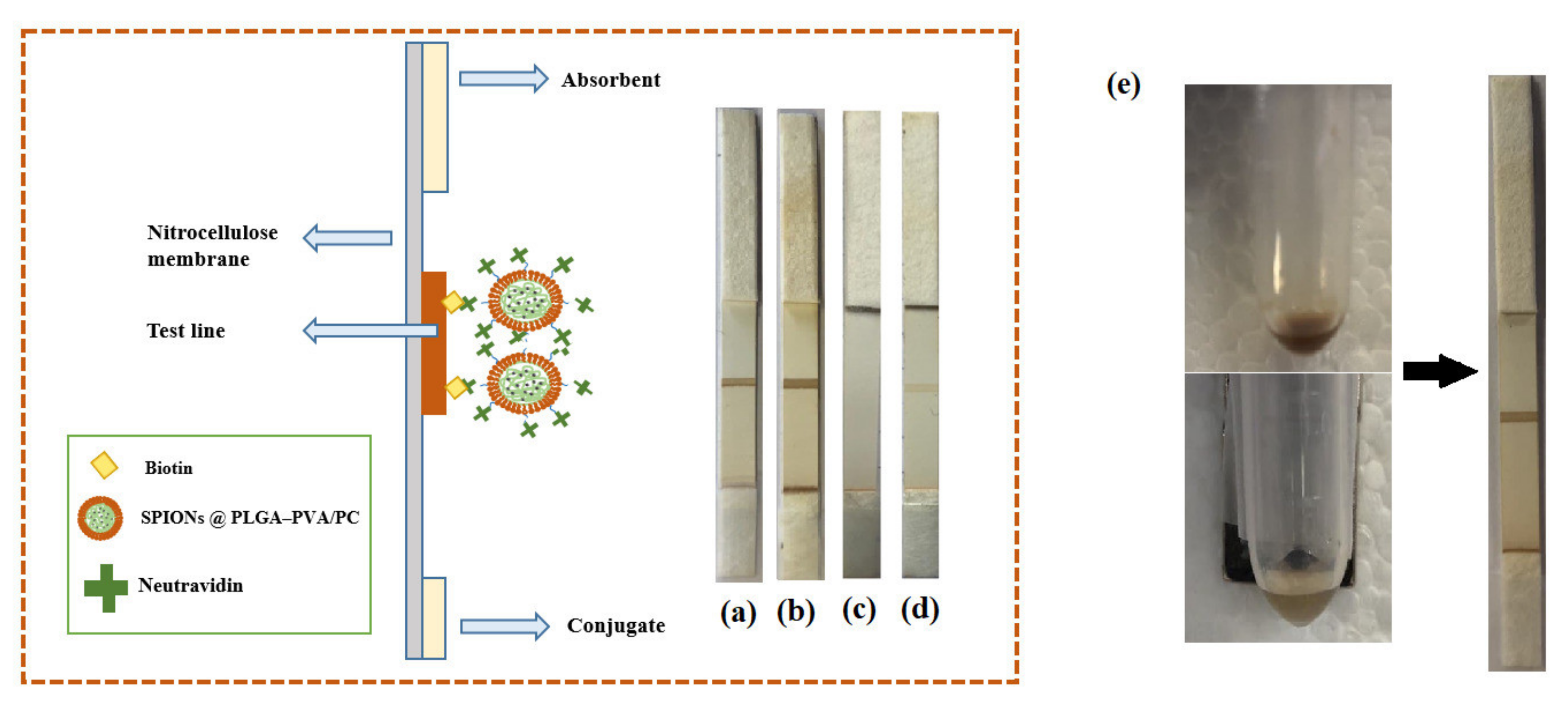 Biosensors 11 00218 g005